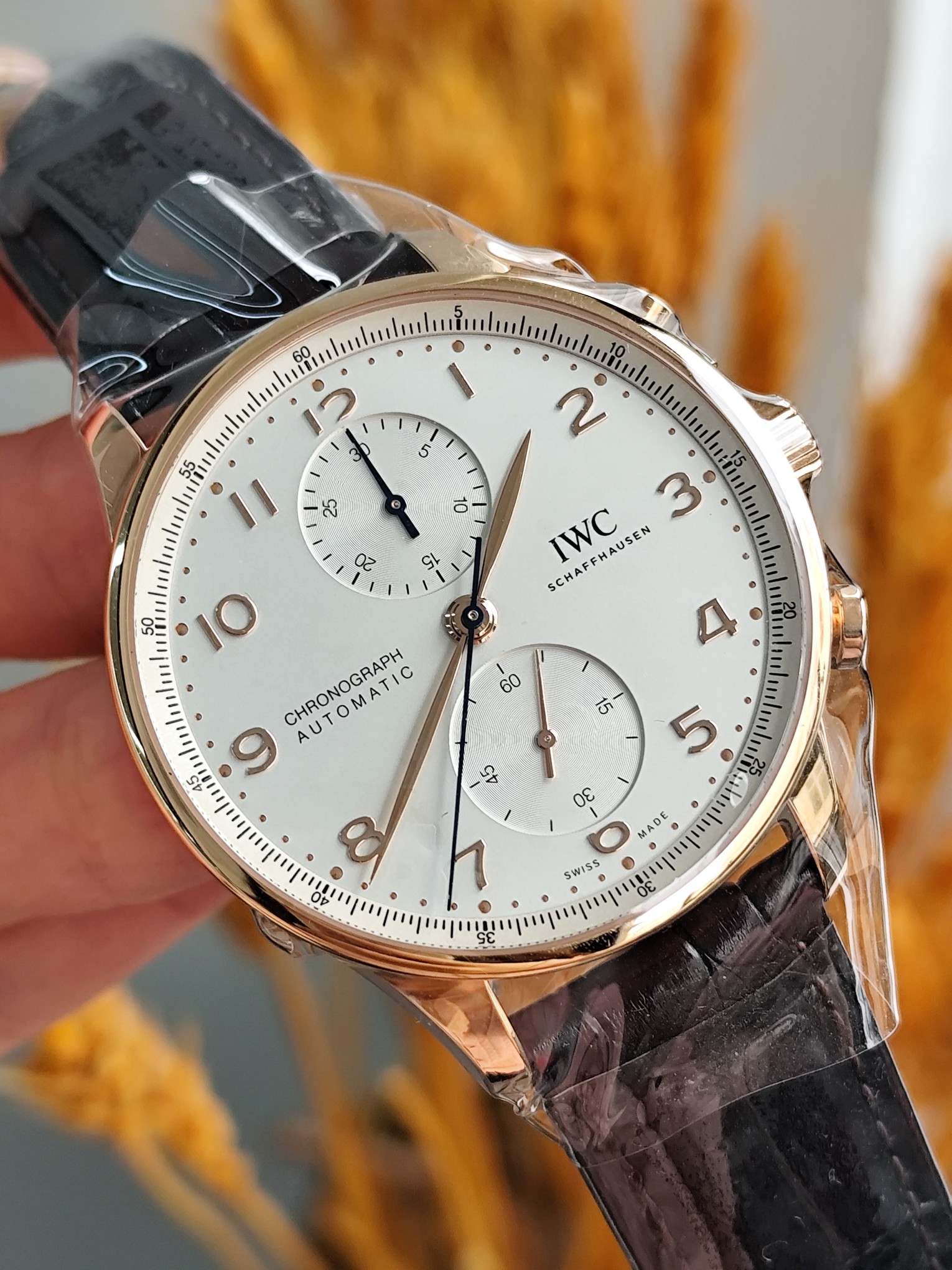 IWC IW371611