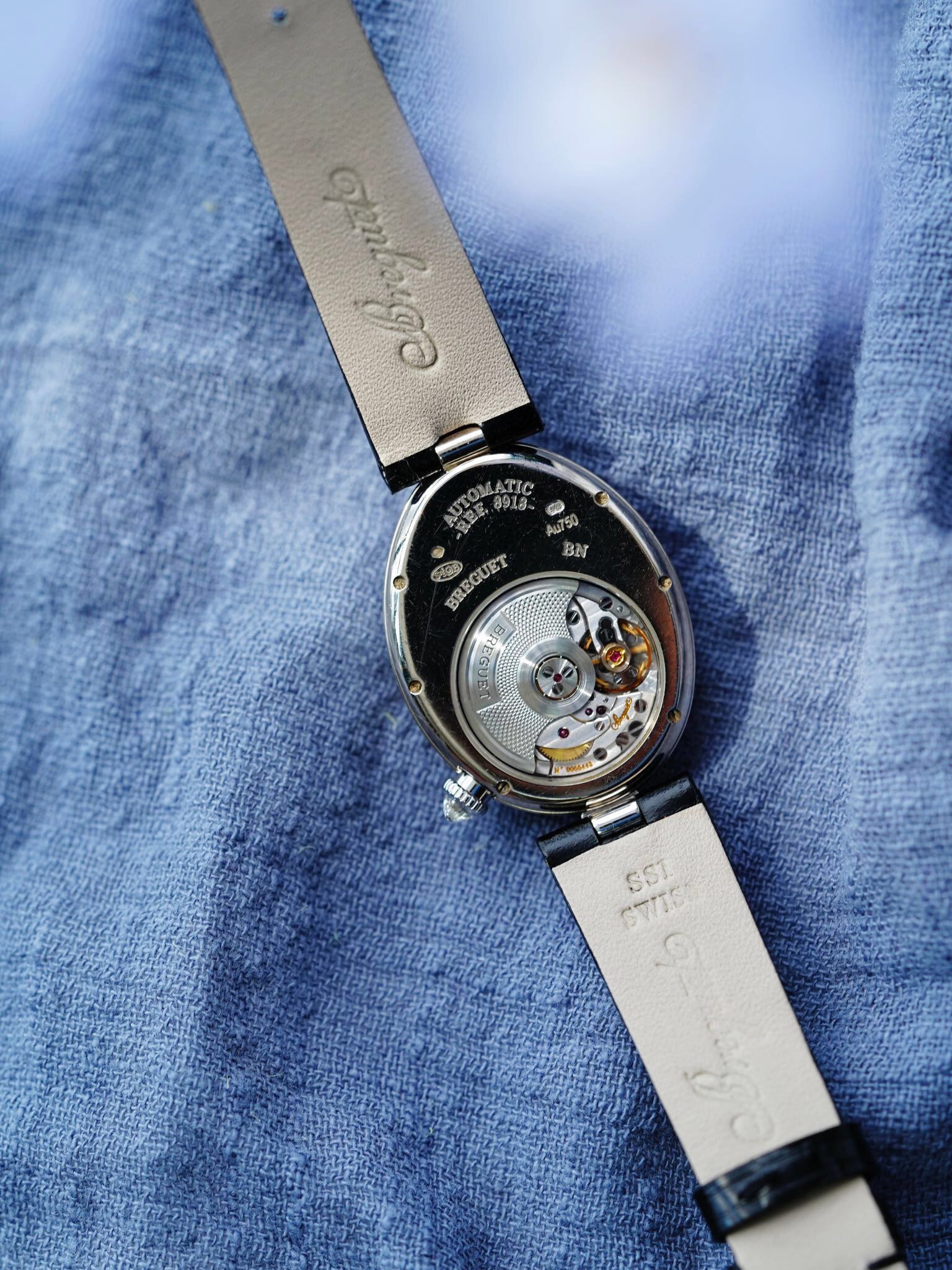 Breguet 8918BB detail 5