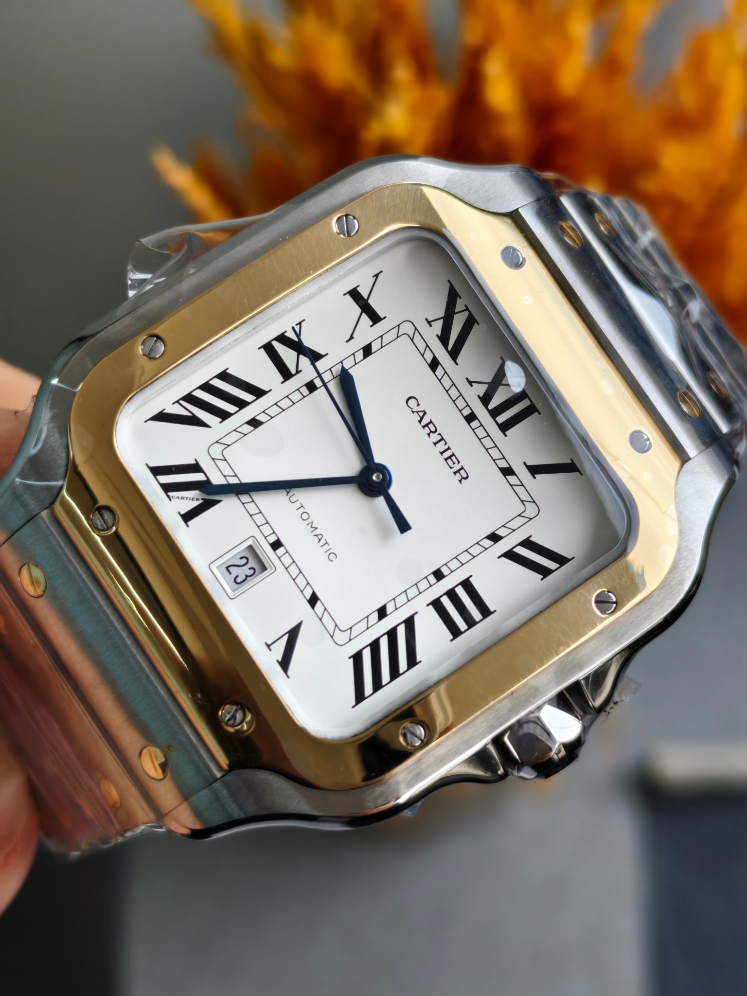 Cartier W2SA0009