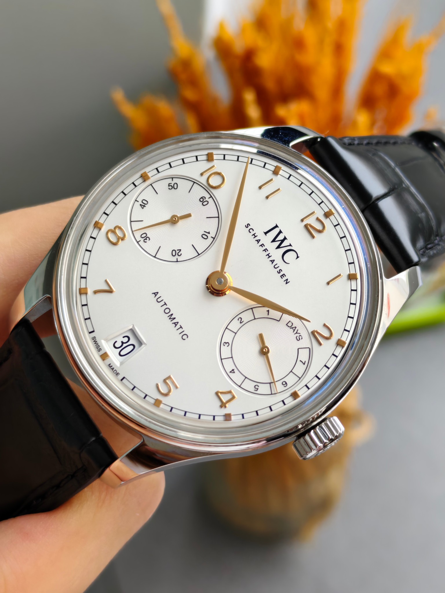 IWC IW501701