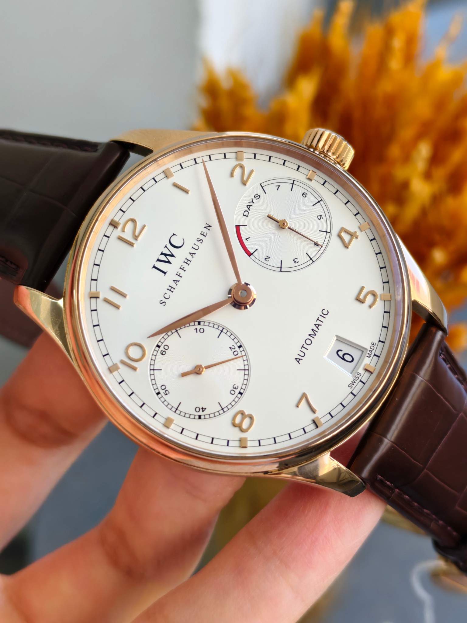 IWC IW500113 detail 1