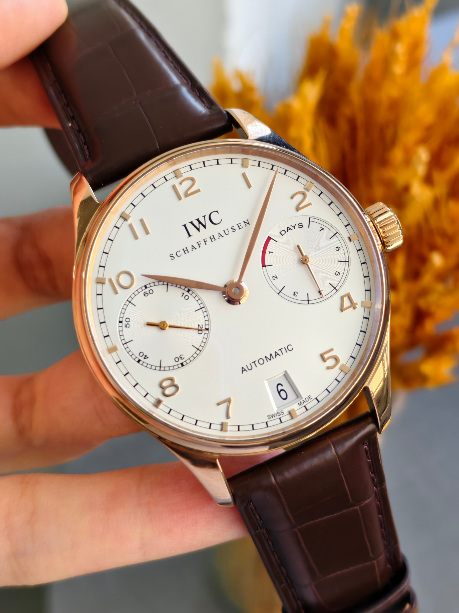 IWC IW500113