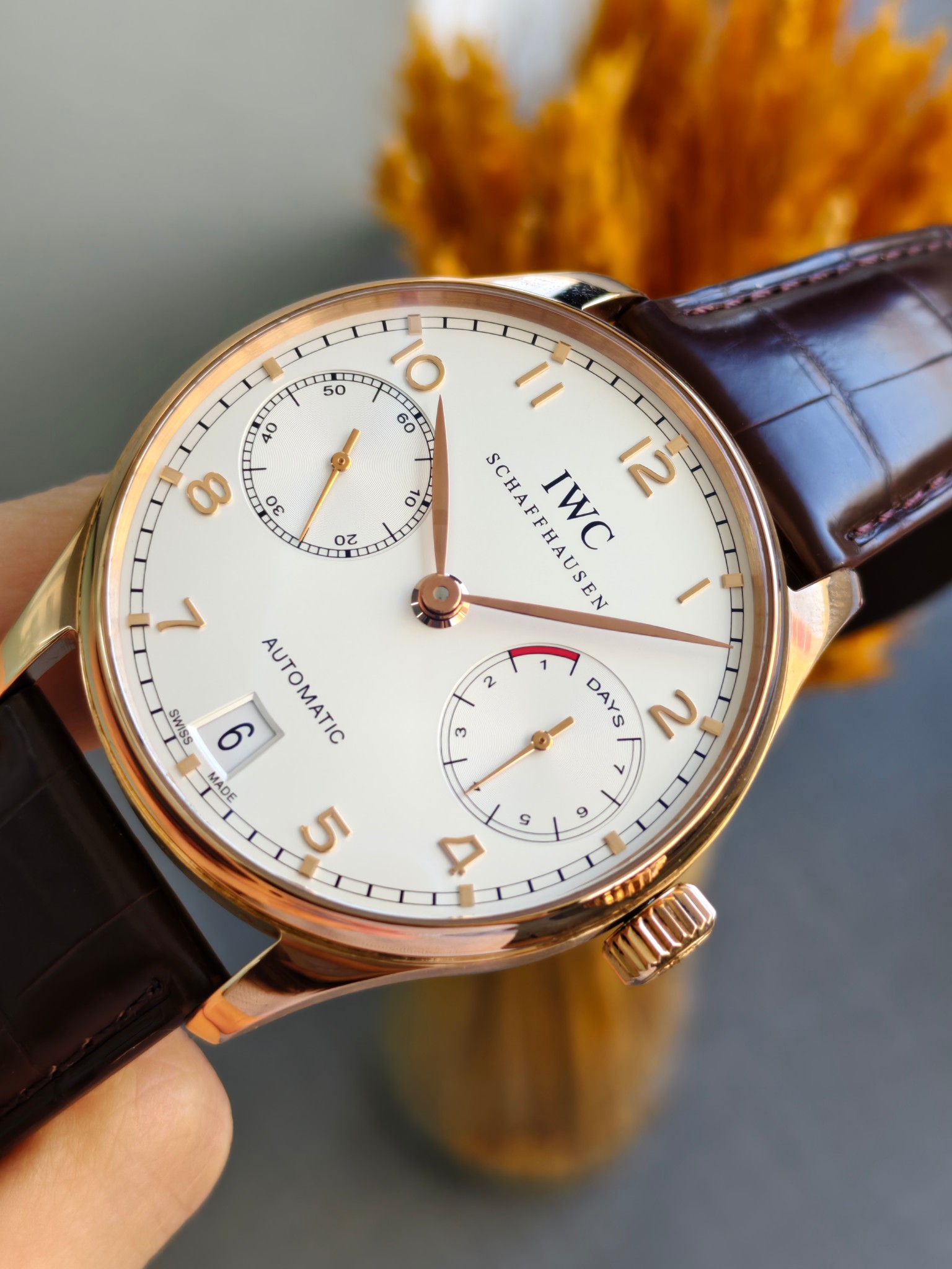 IWC IW500113 detail 2