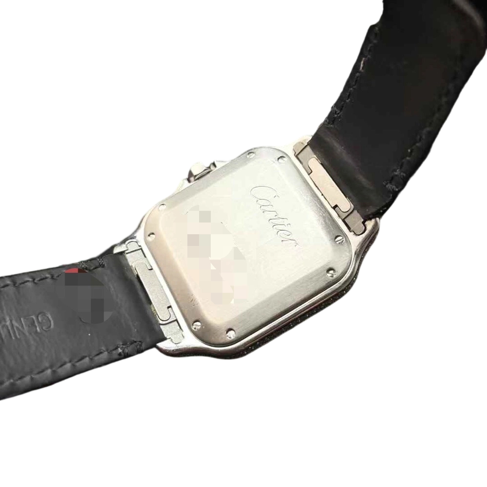 Cartier WJSA0006 detail 4