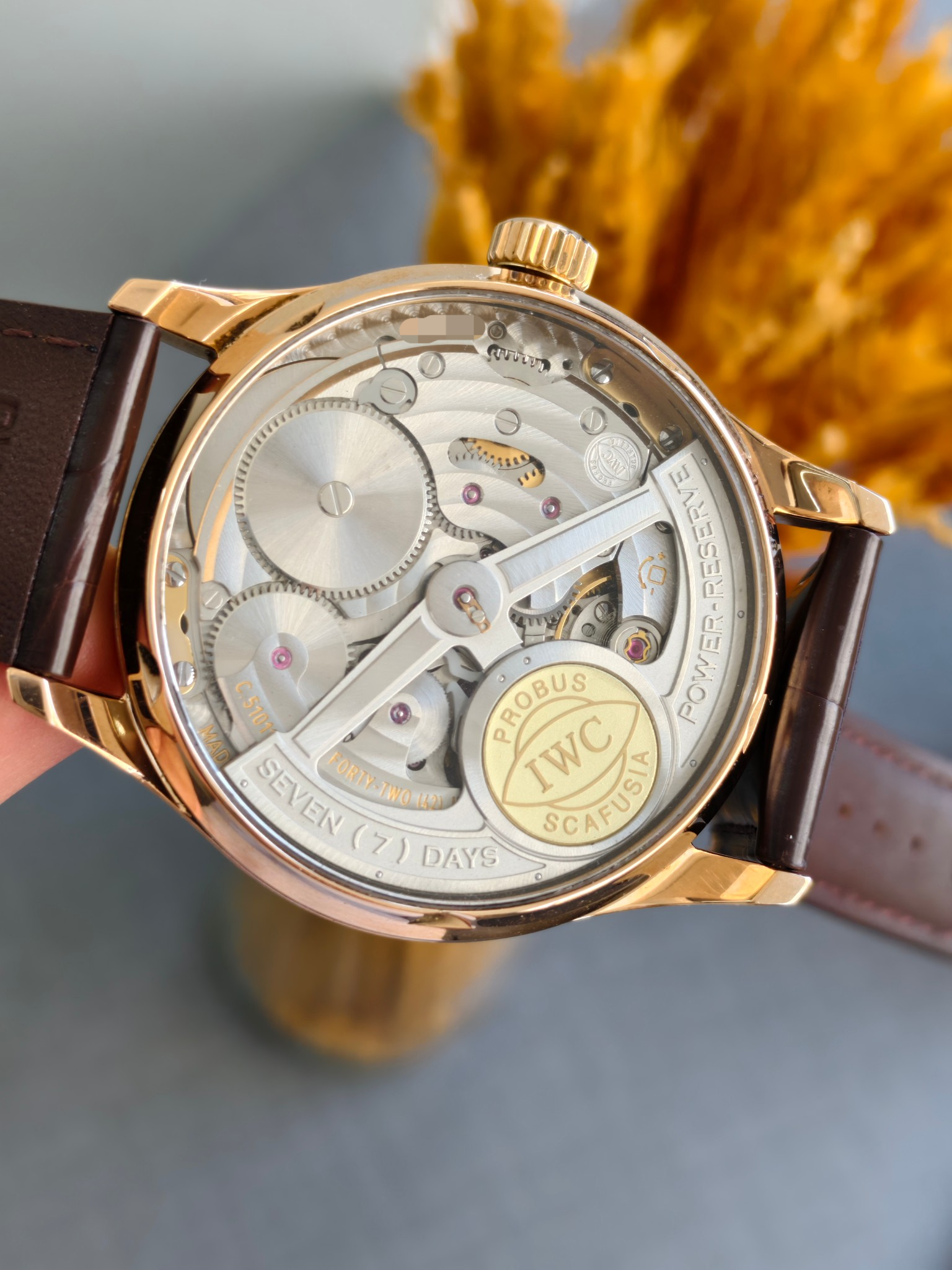 IWC IW500113 detail 5