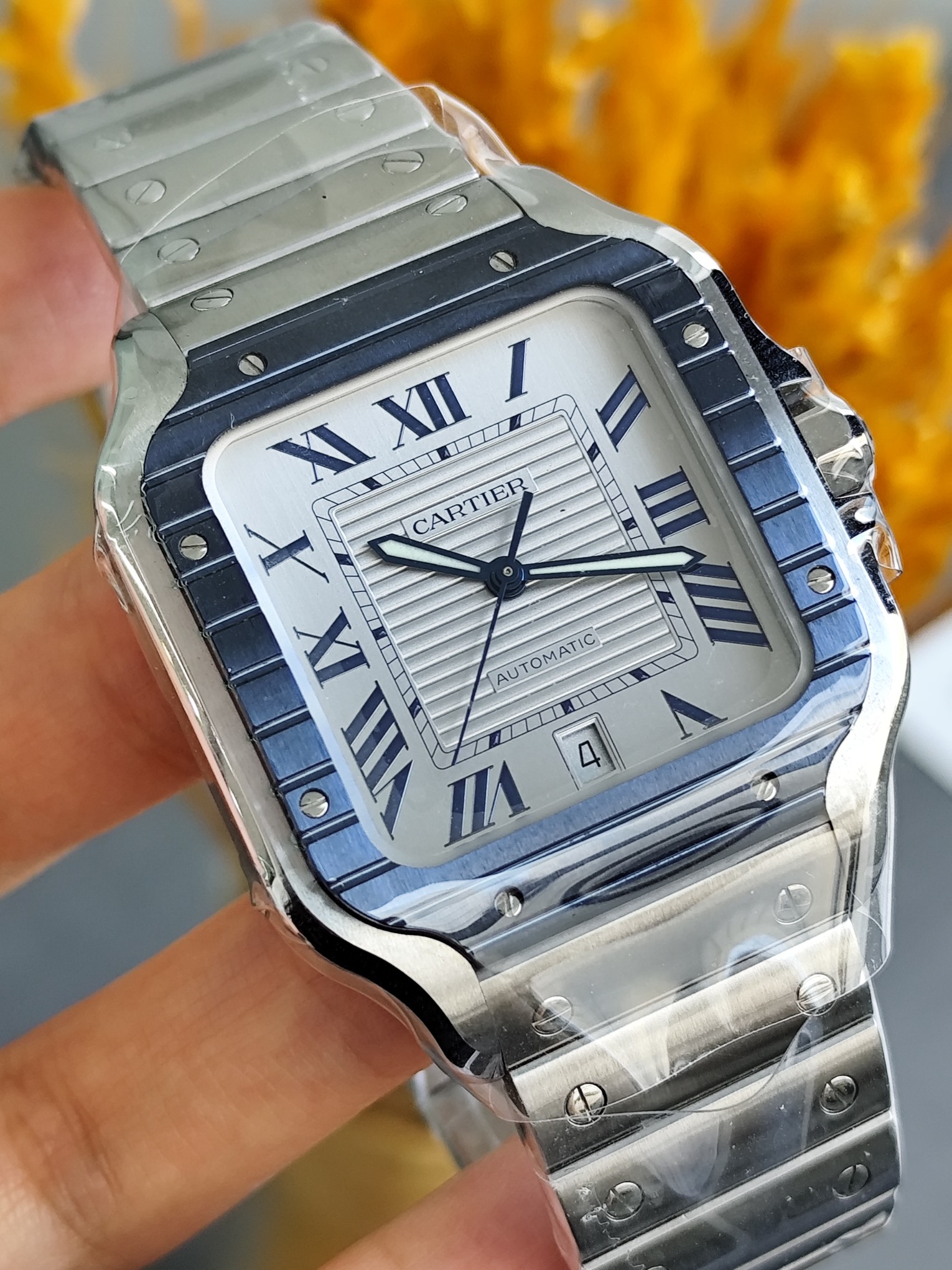 Cartier WSSA0047