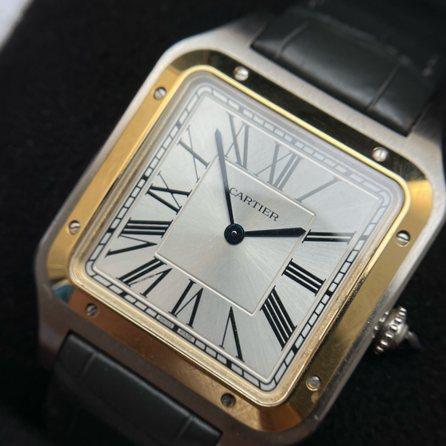 Cartier W2SA0034