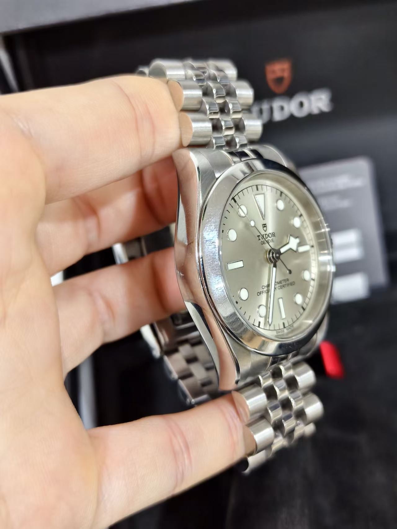 Tudor m79660-0003 detail 2