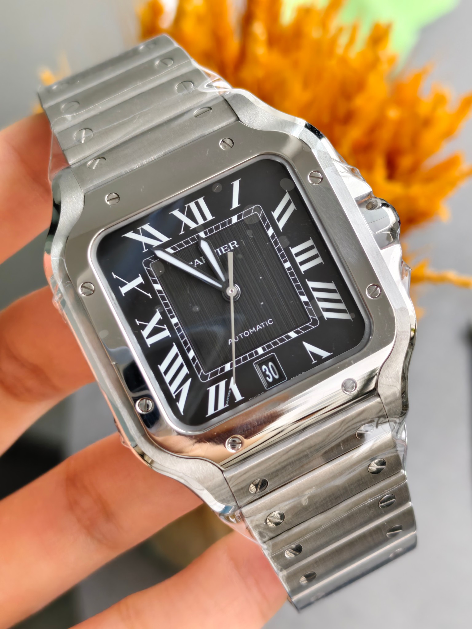 Cartier WSSA0096