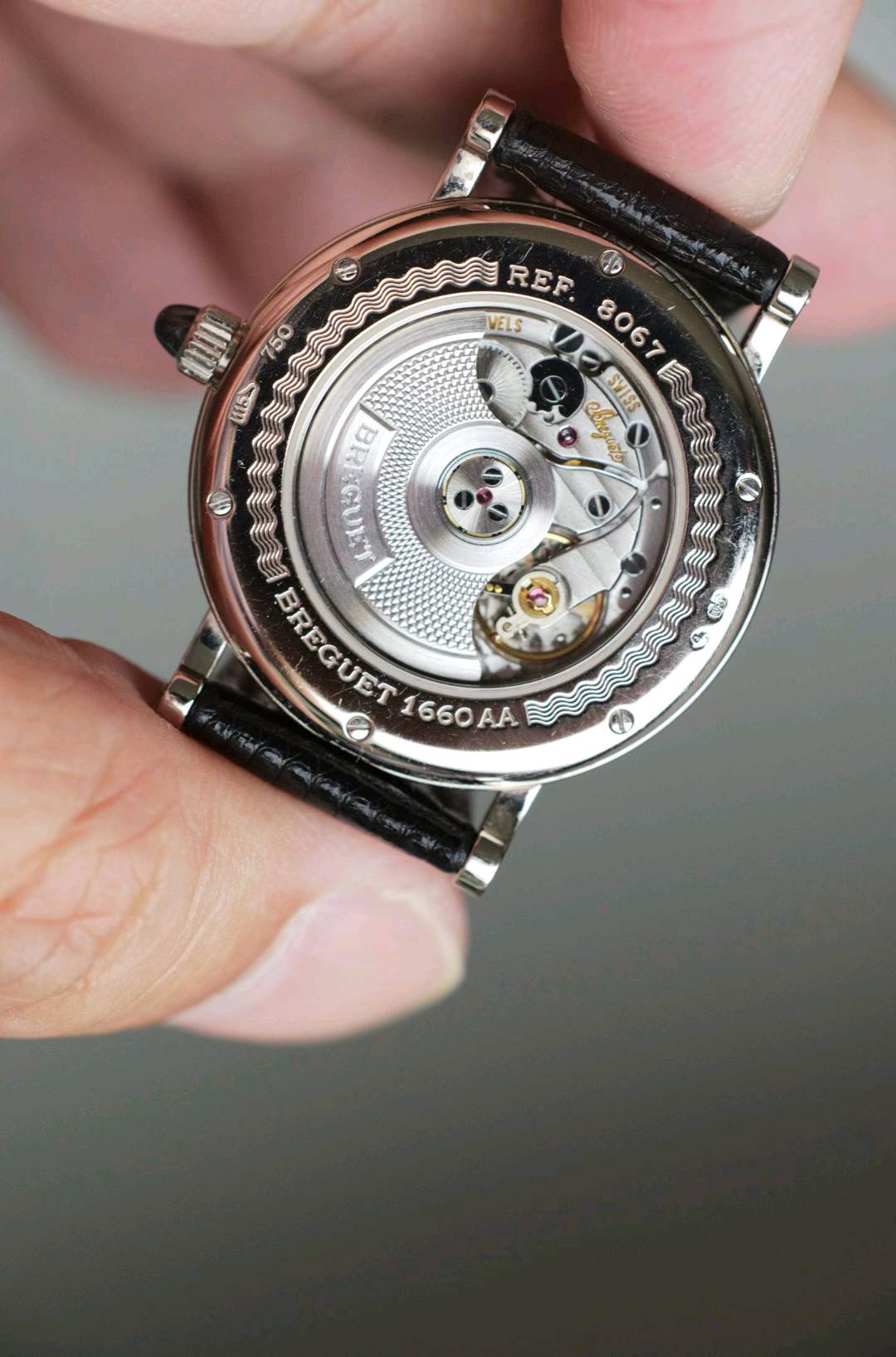 Breguet 8067BB / 52 / 964 detail 3