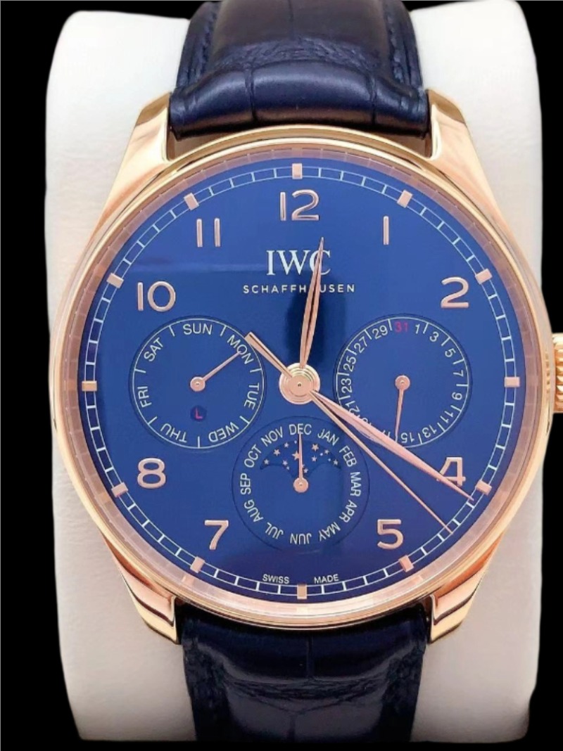 IWC IW344205