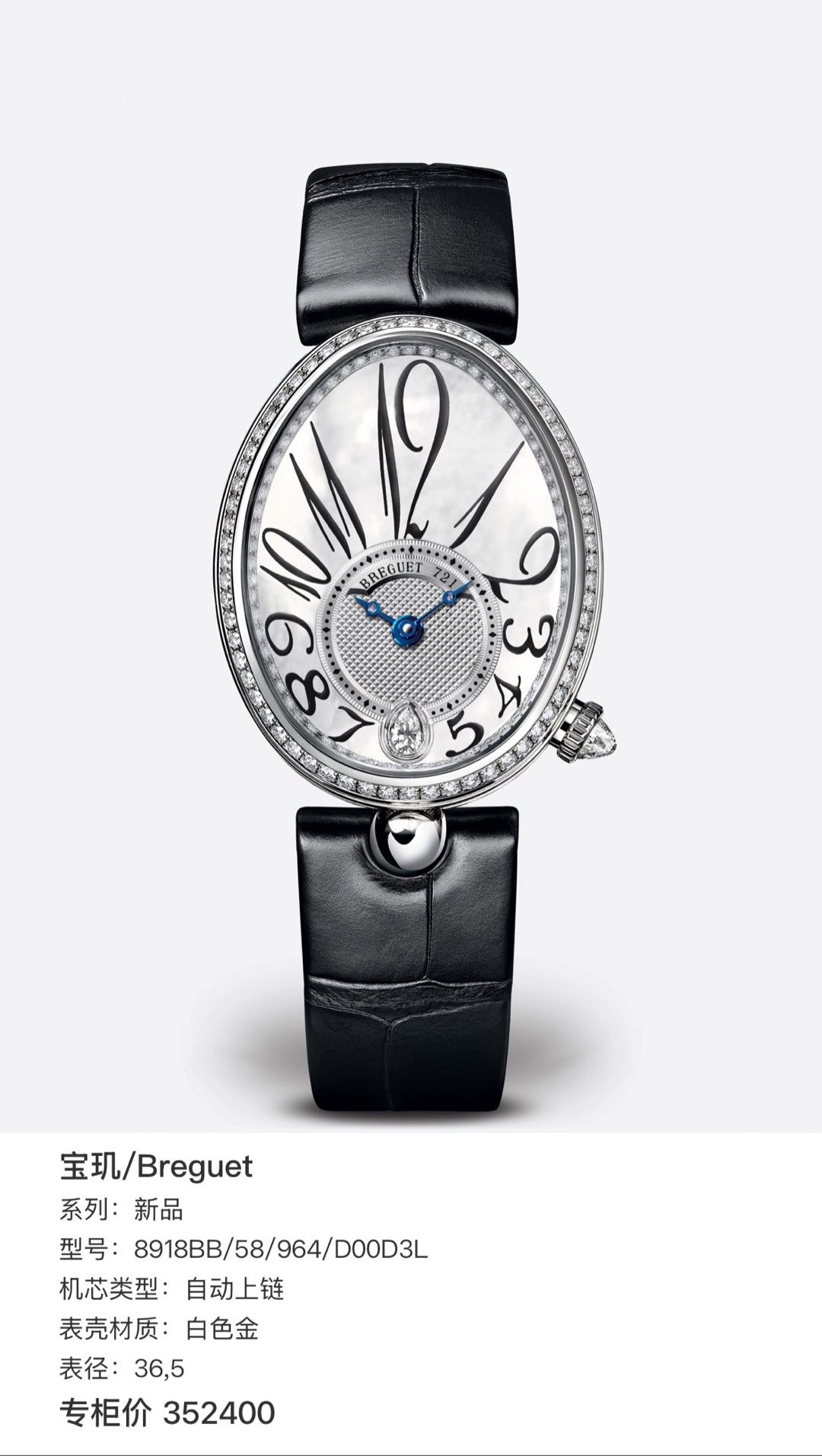 Breguet 8918BB / 58 / 964 / D00D3L detail 4