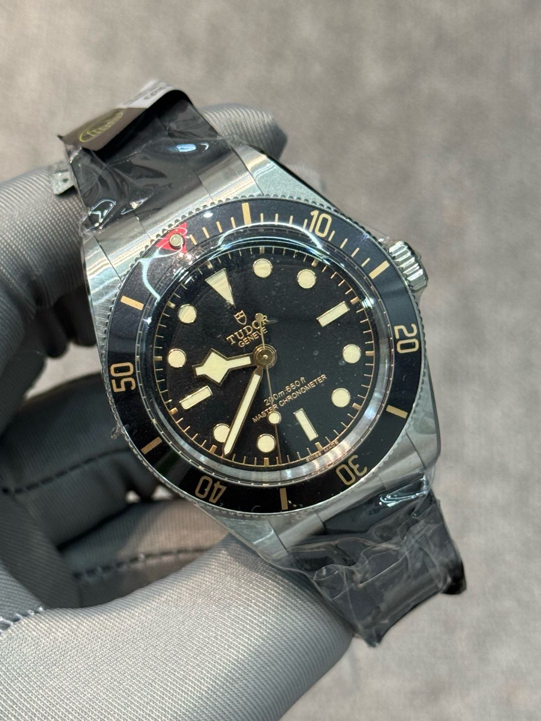 Tudor M7939A1AONU-0003 detail 1