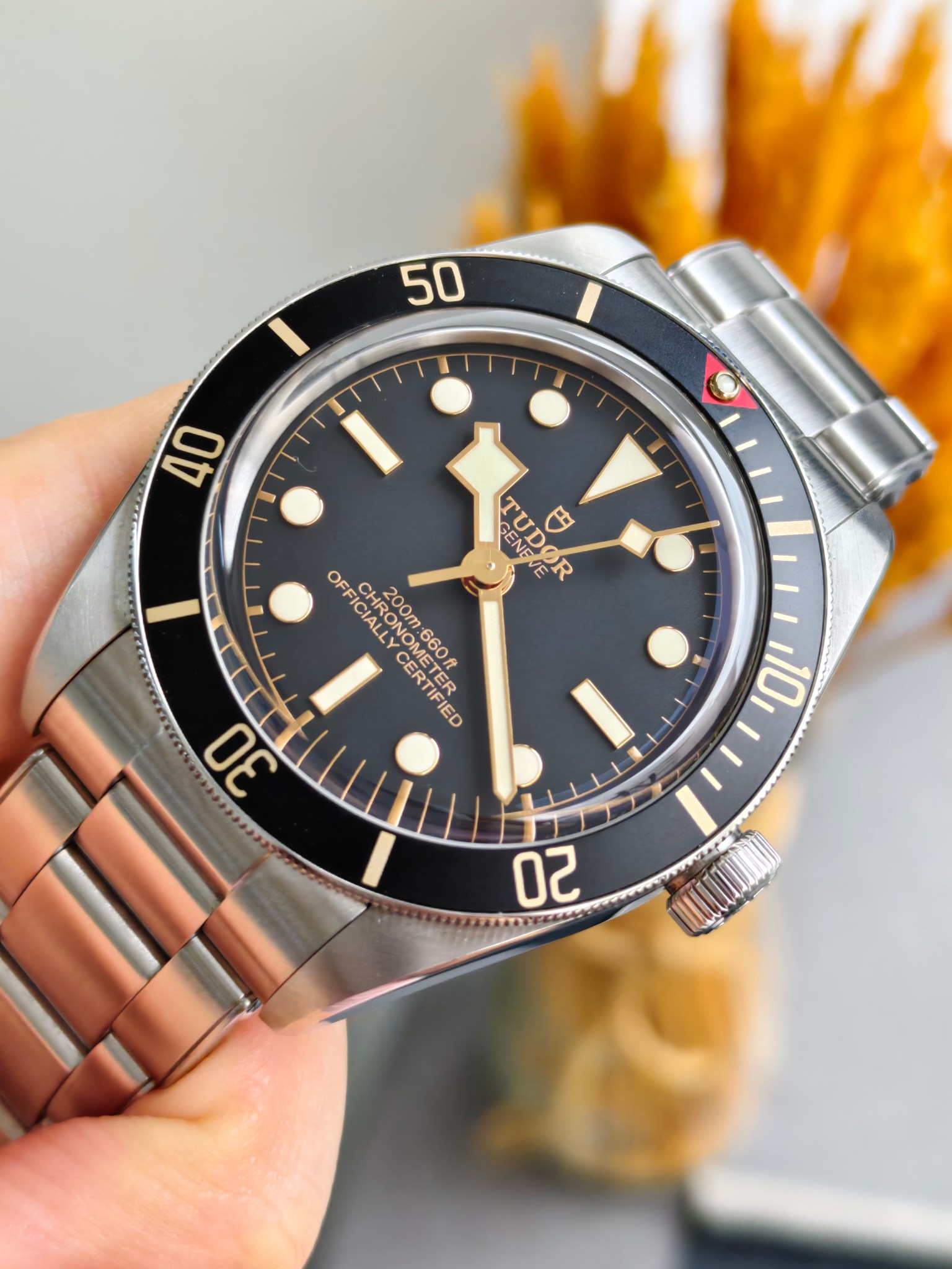 Tudor m79030n-0001 detail 1