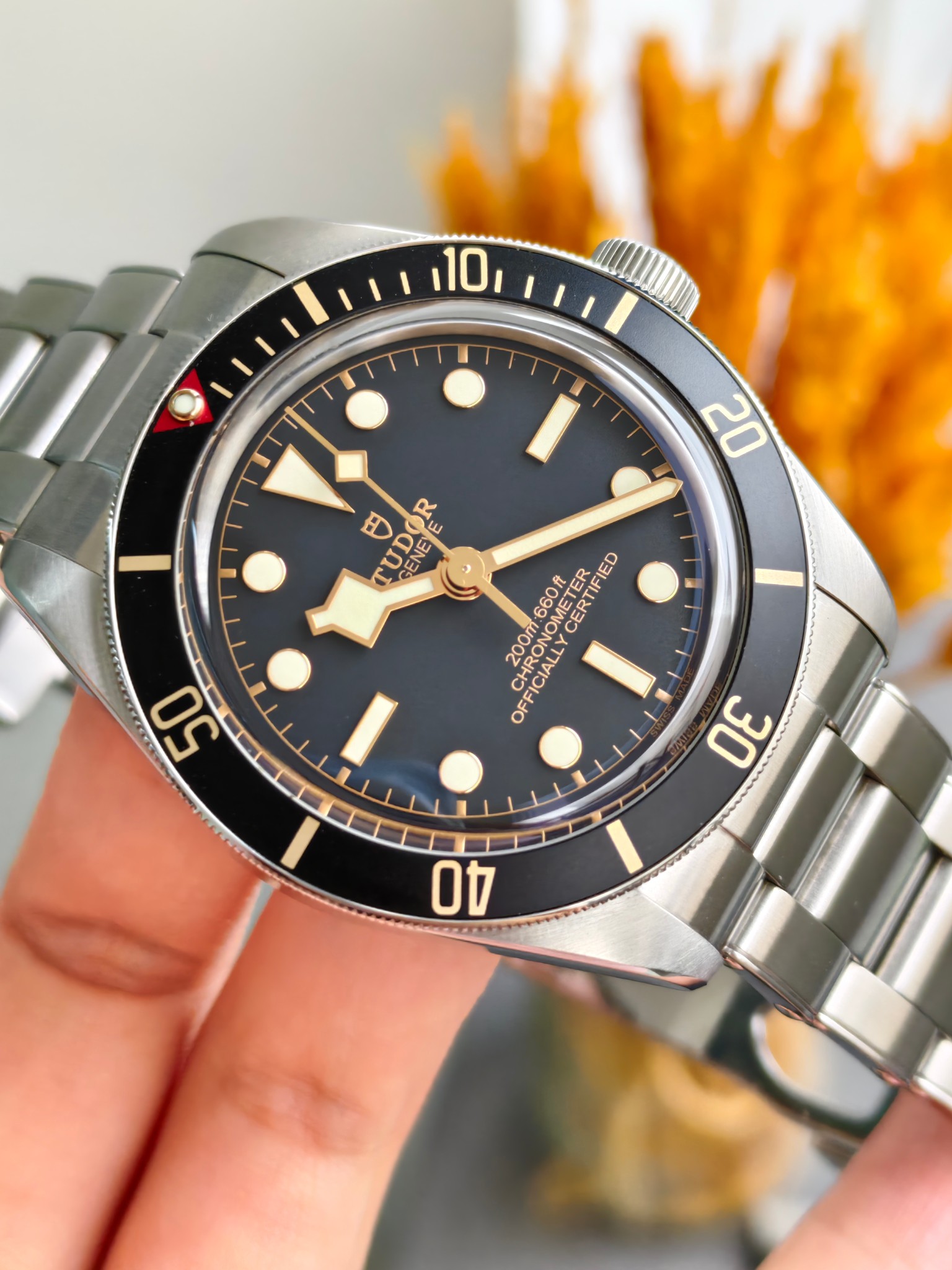 Tudor m79030n-0001 detail 2