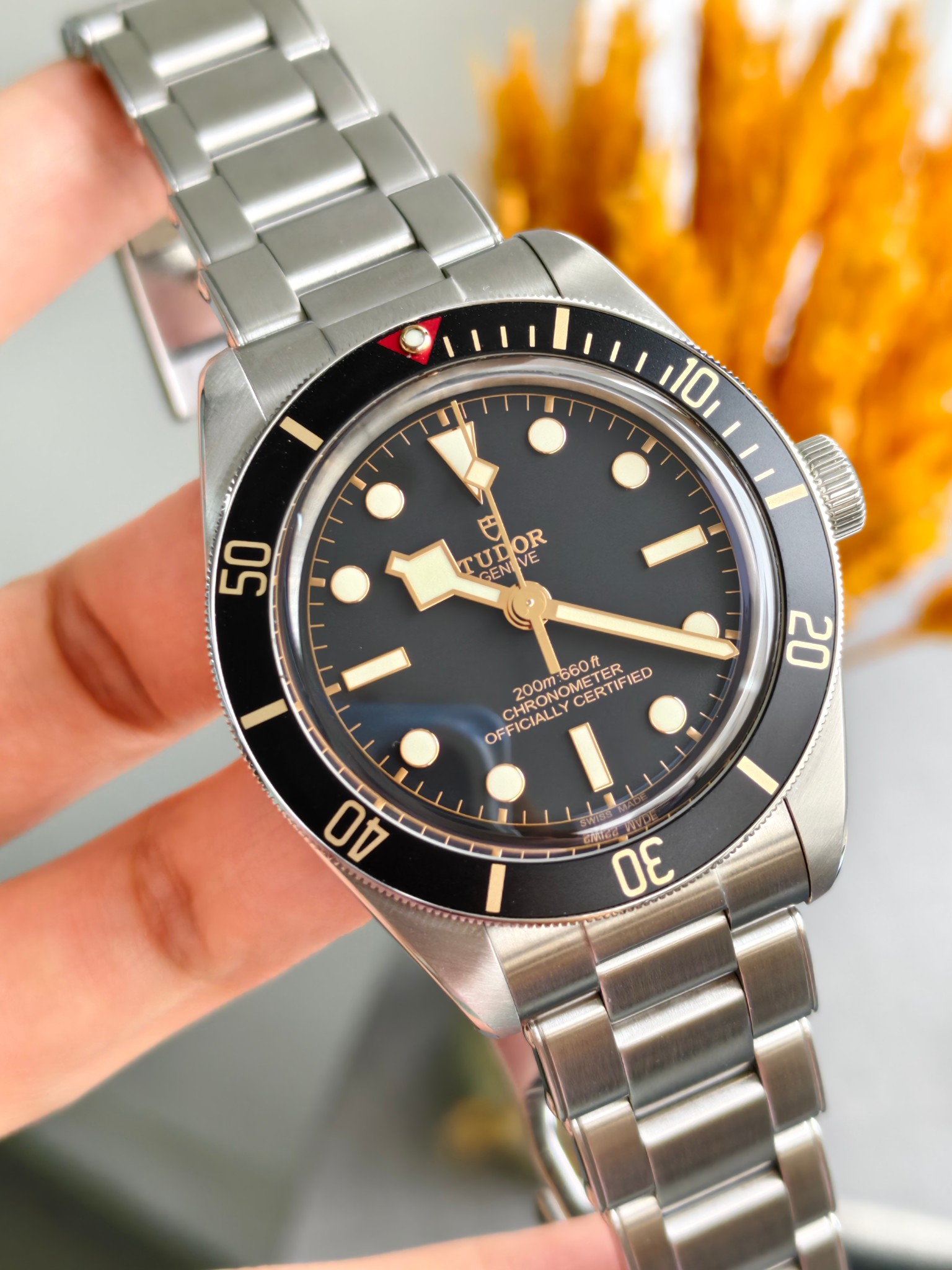 Tudor m79030n-0001