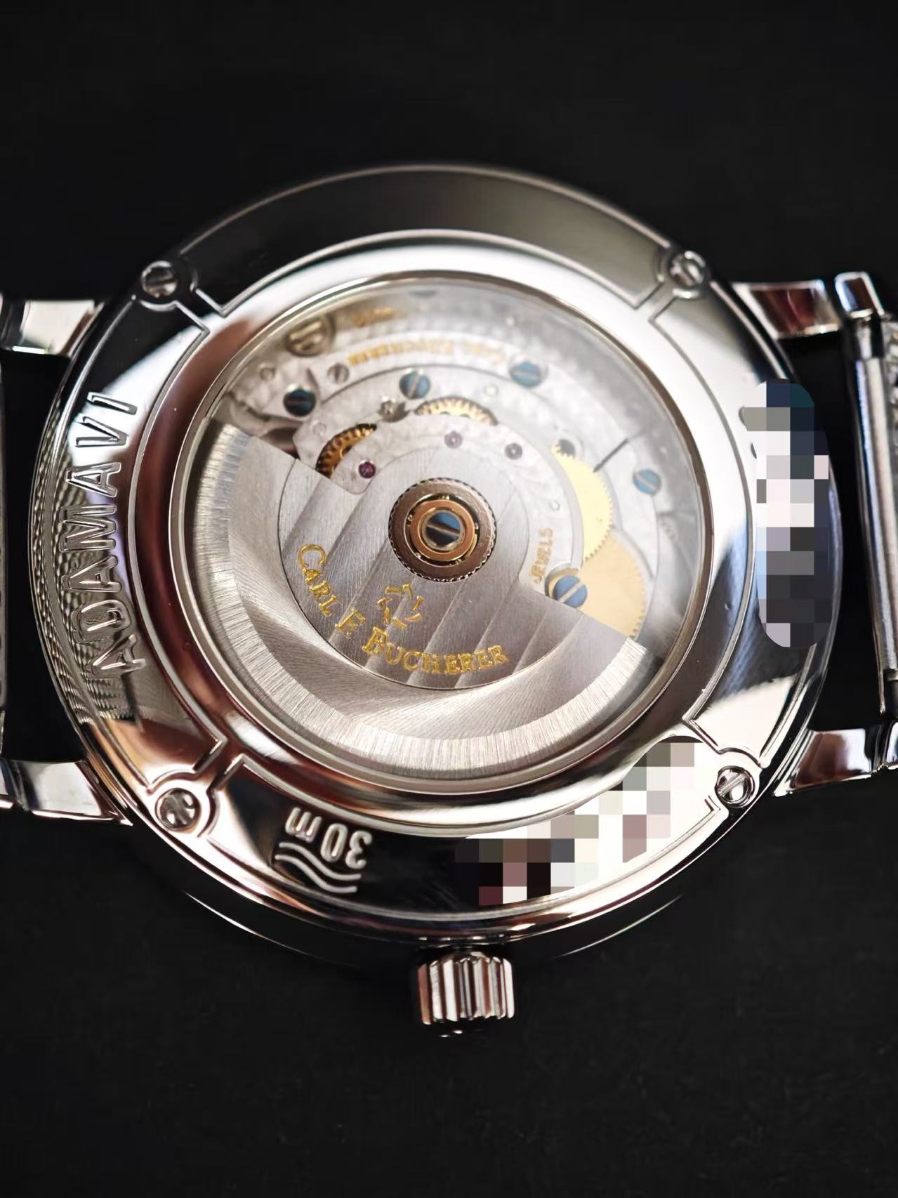 Carl F. Bucherer 00.10314.08.53.21 detail 3
