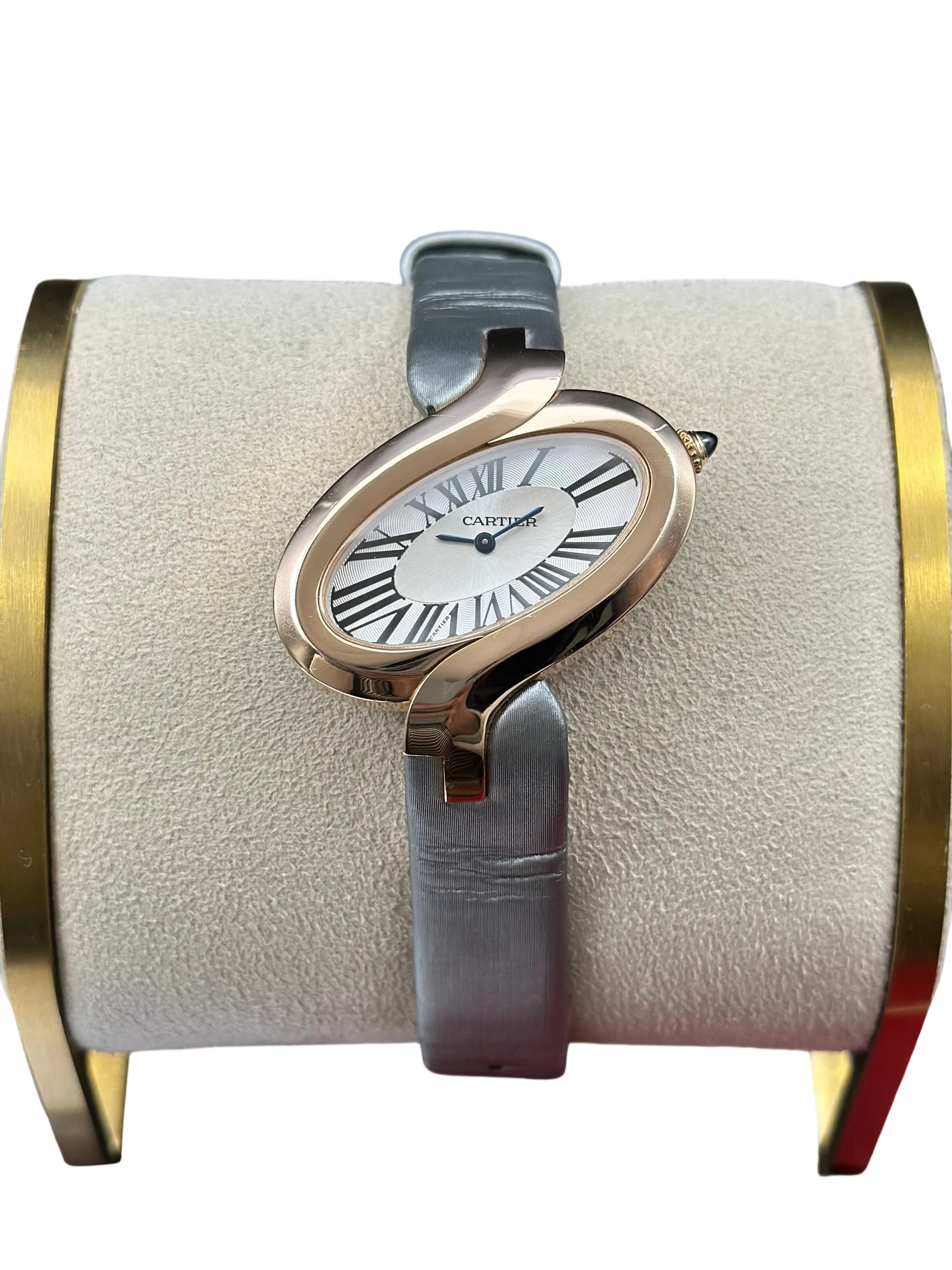 Cartier W8100011