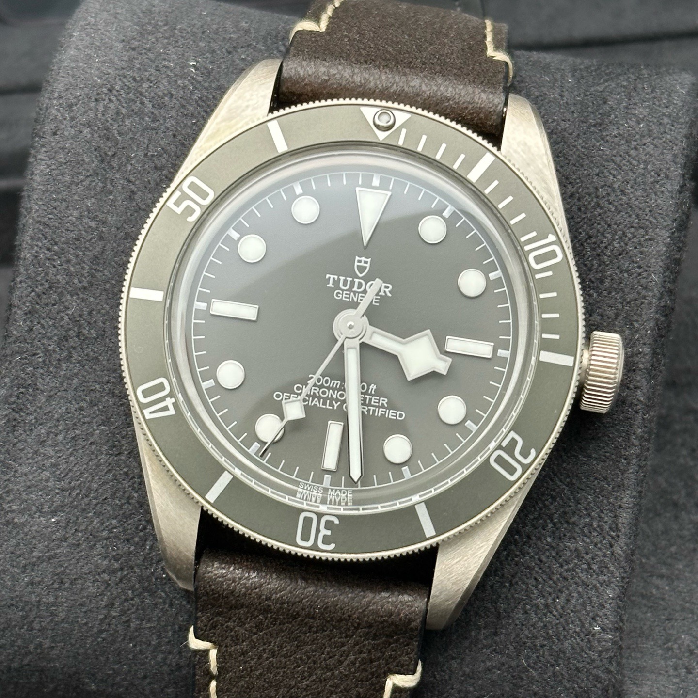 Tudor m79010sg-0001 detail 1