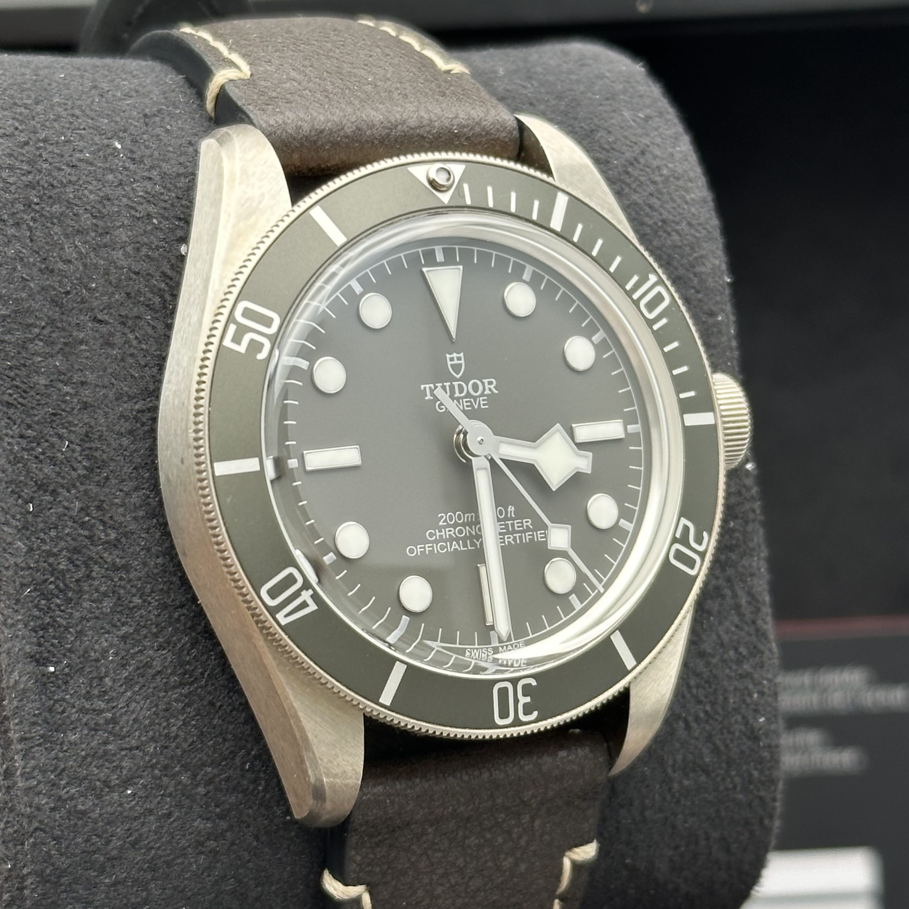 Tudor m79010sg-0001 detail 2