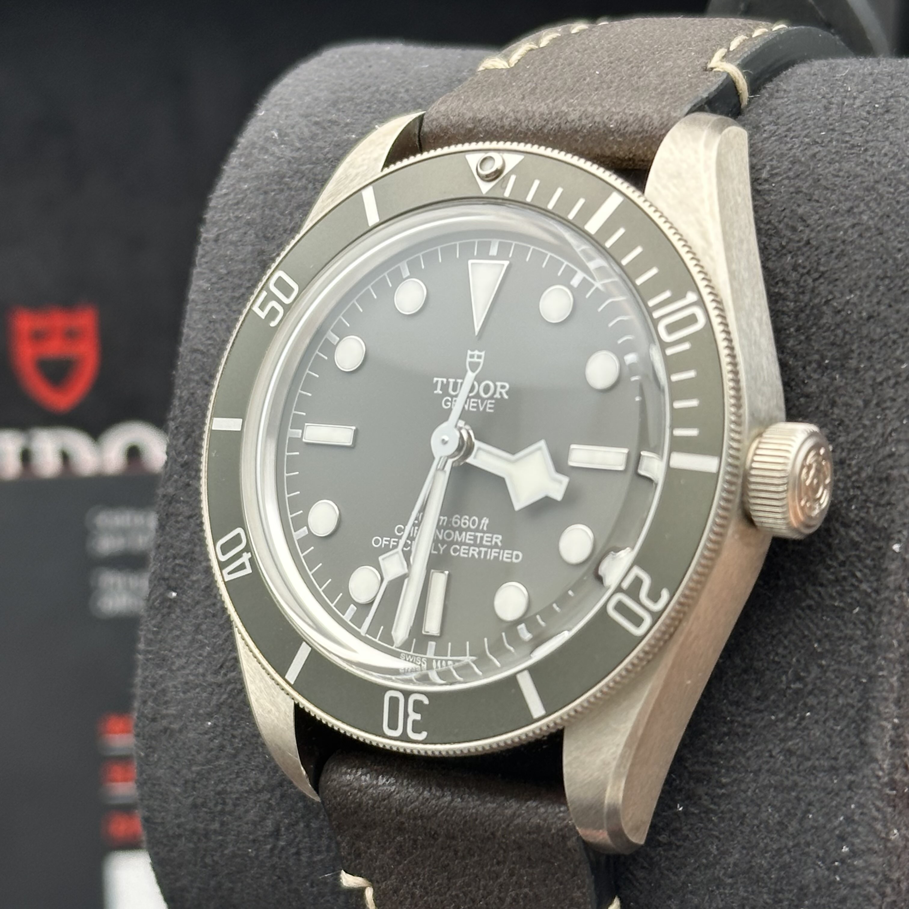 Tudor m79010sg-0001 detail 3