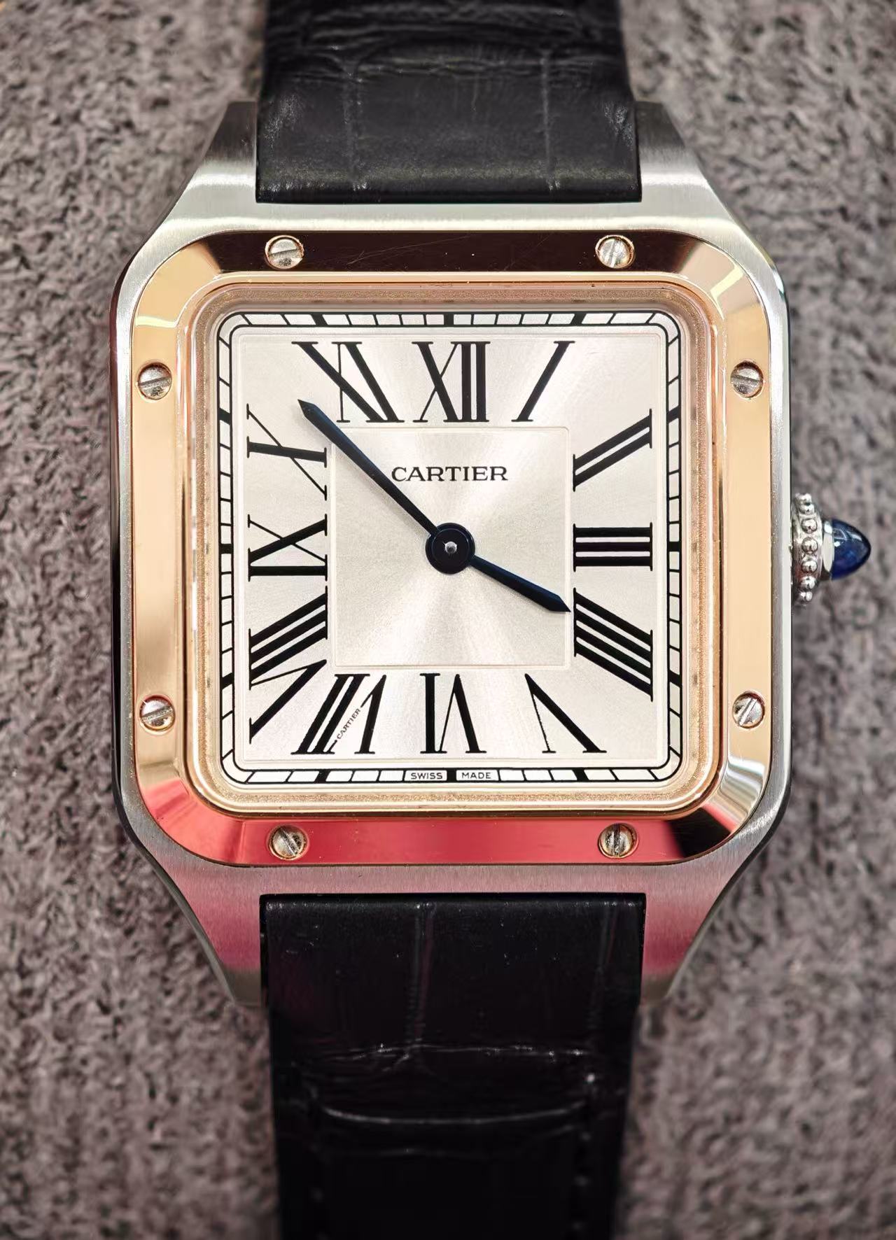 Cartier W2SA0038