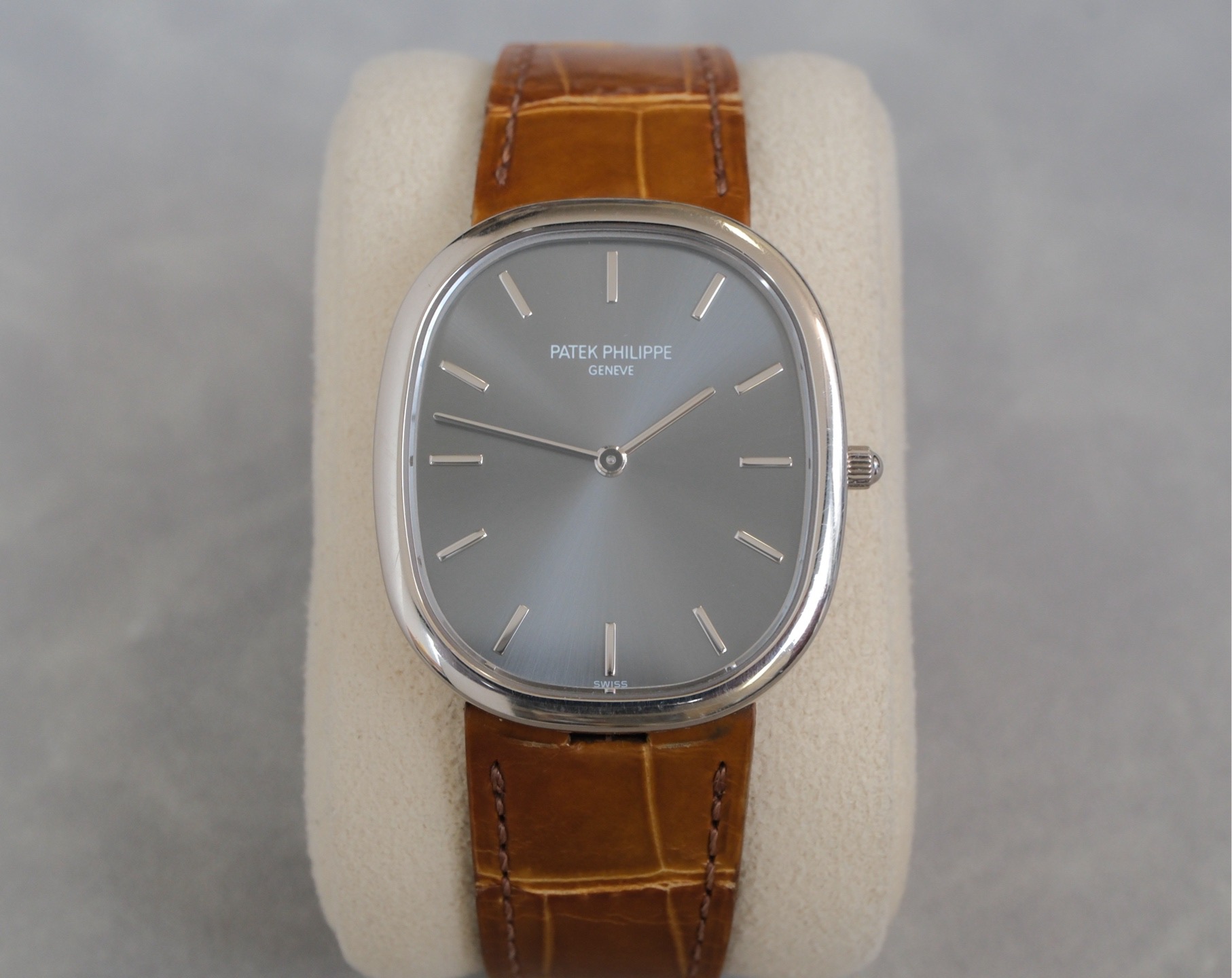Patek Philippe 3738 / 100G-012 detail 6