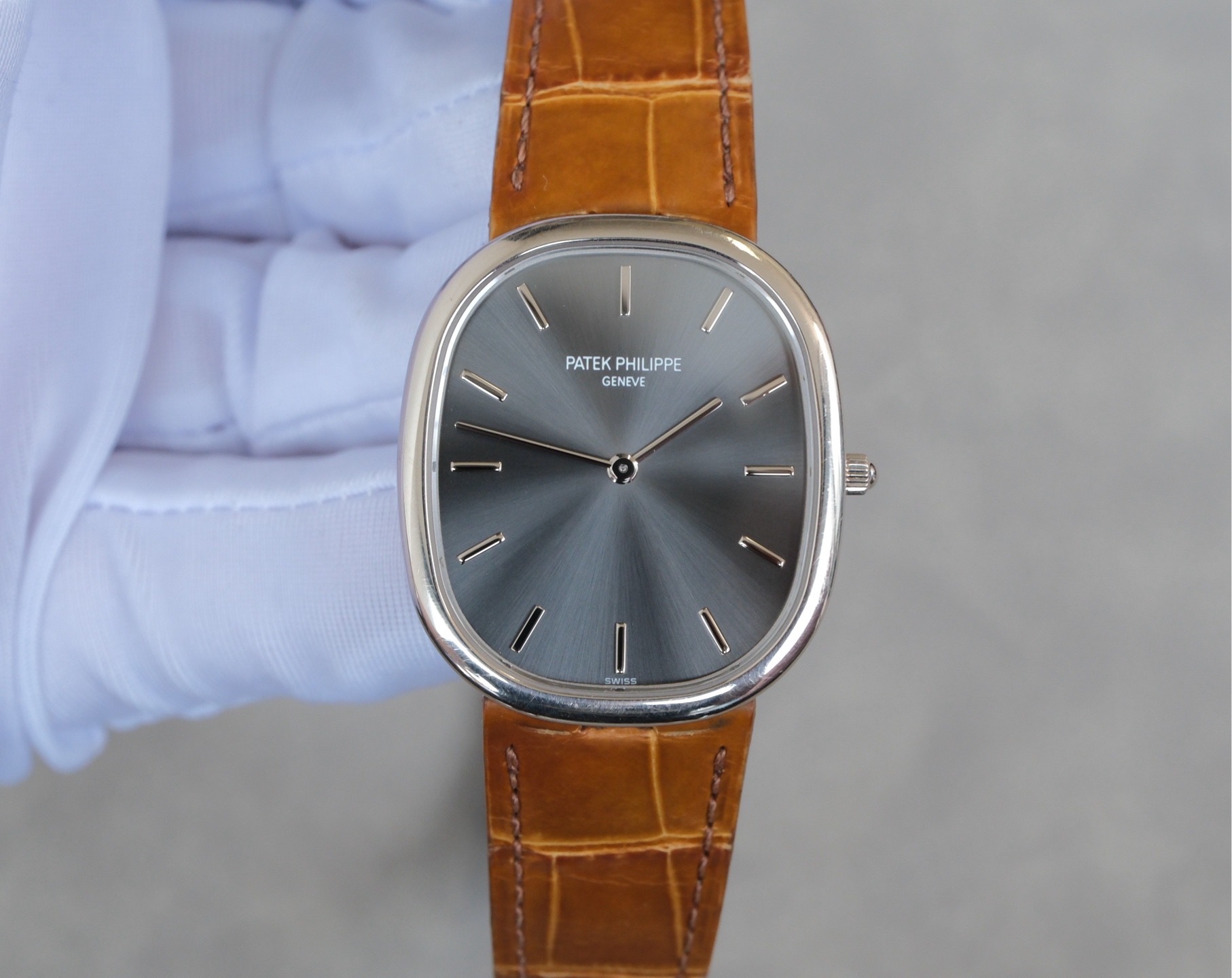 Patek Philippe 3738 / 100G-012 detail 7