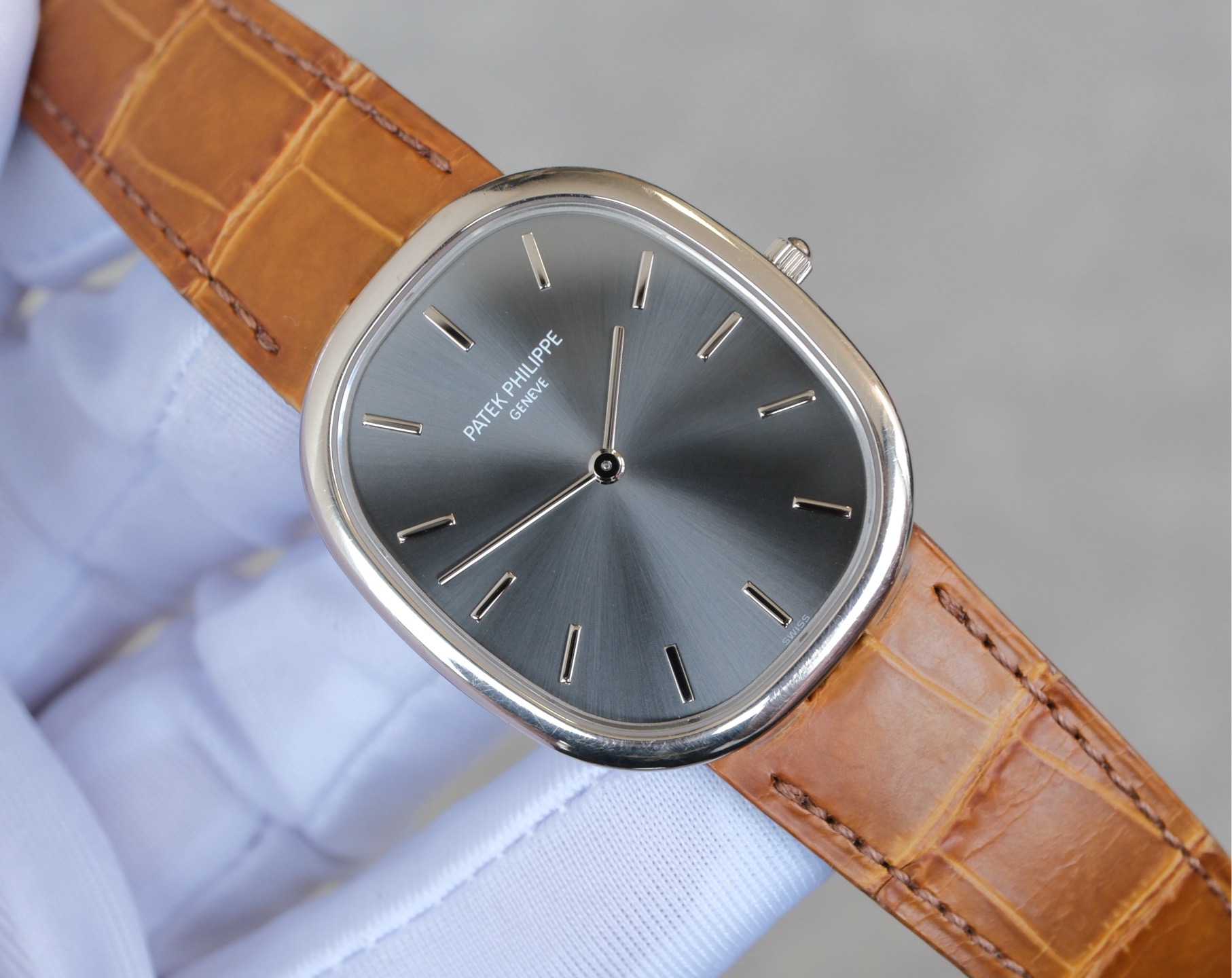 Patek Philippe 3738 / 100G-012 detail 8