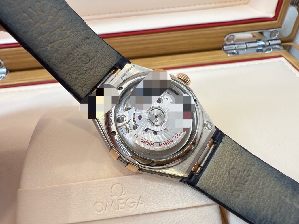 Omega 131.28.29.20.99.003 detail 7