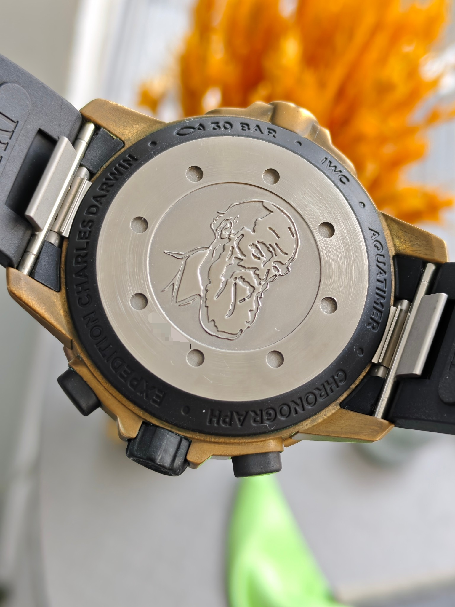 IWC IW379503 detail 6
