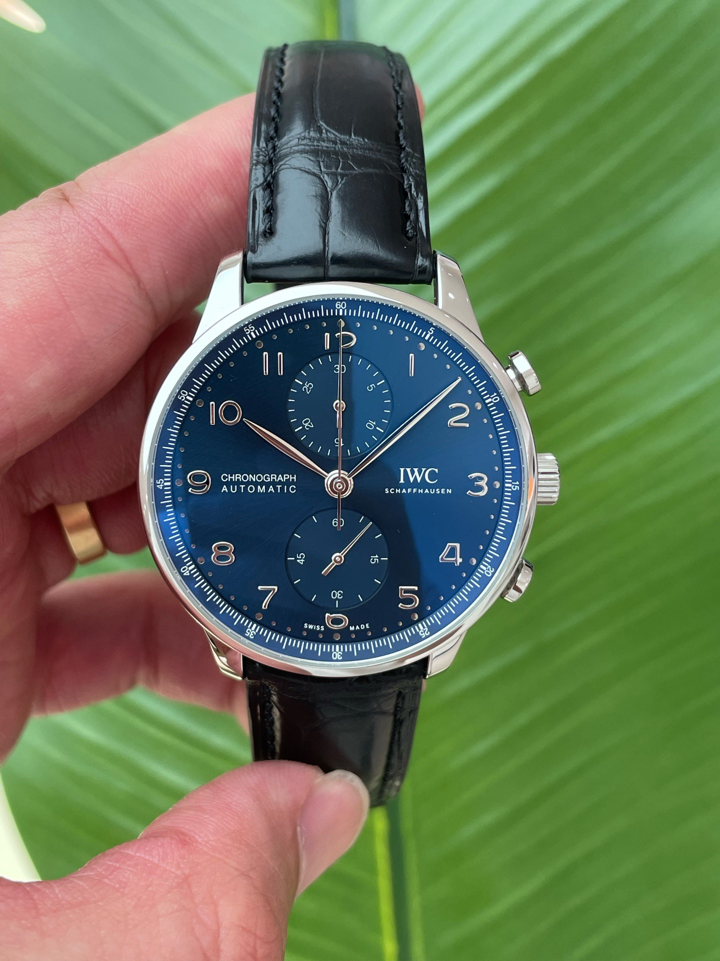 IWC 371606