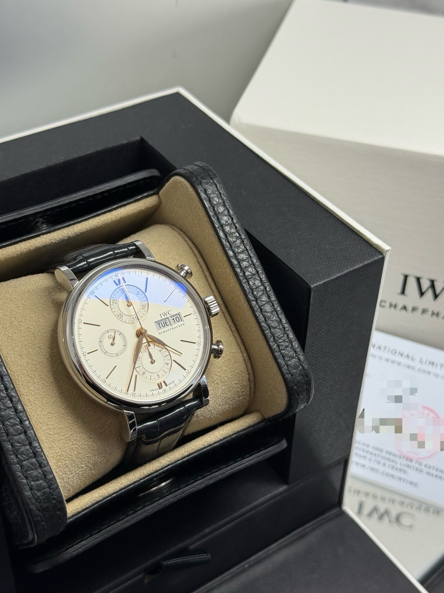 IWC IW391031