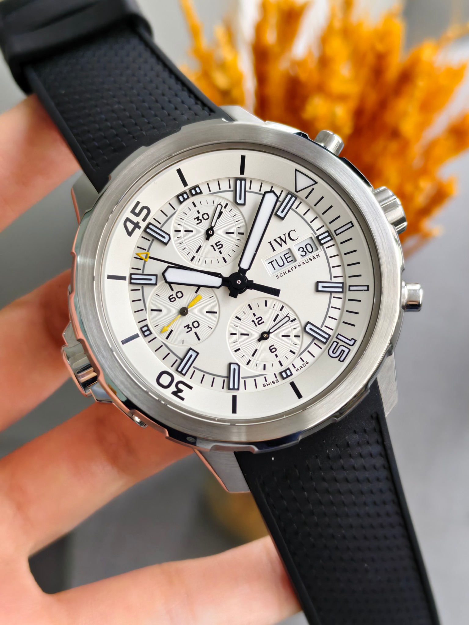 IWC IW376801
