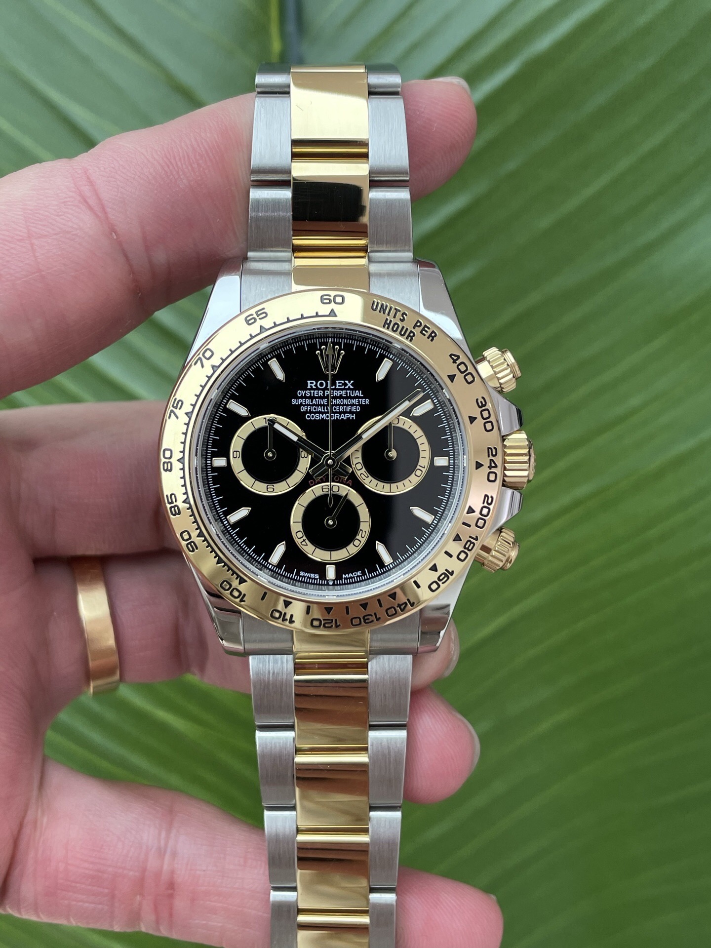 Rolex 126503-0003