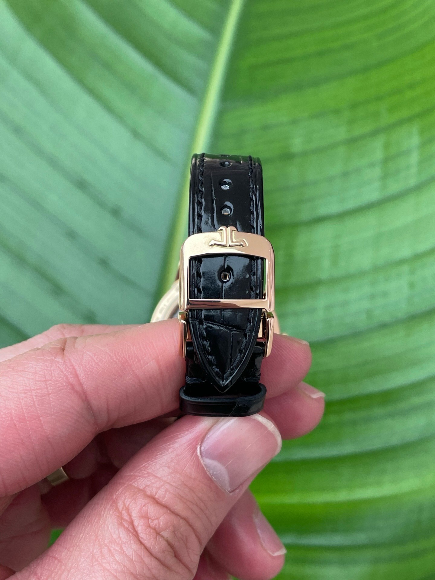 Jaeger-LeCoultre Q3442420 detail 6