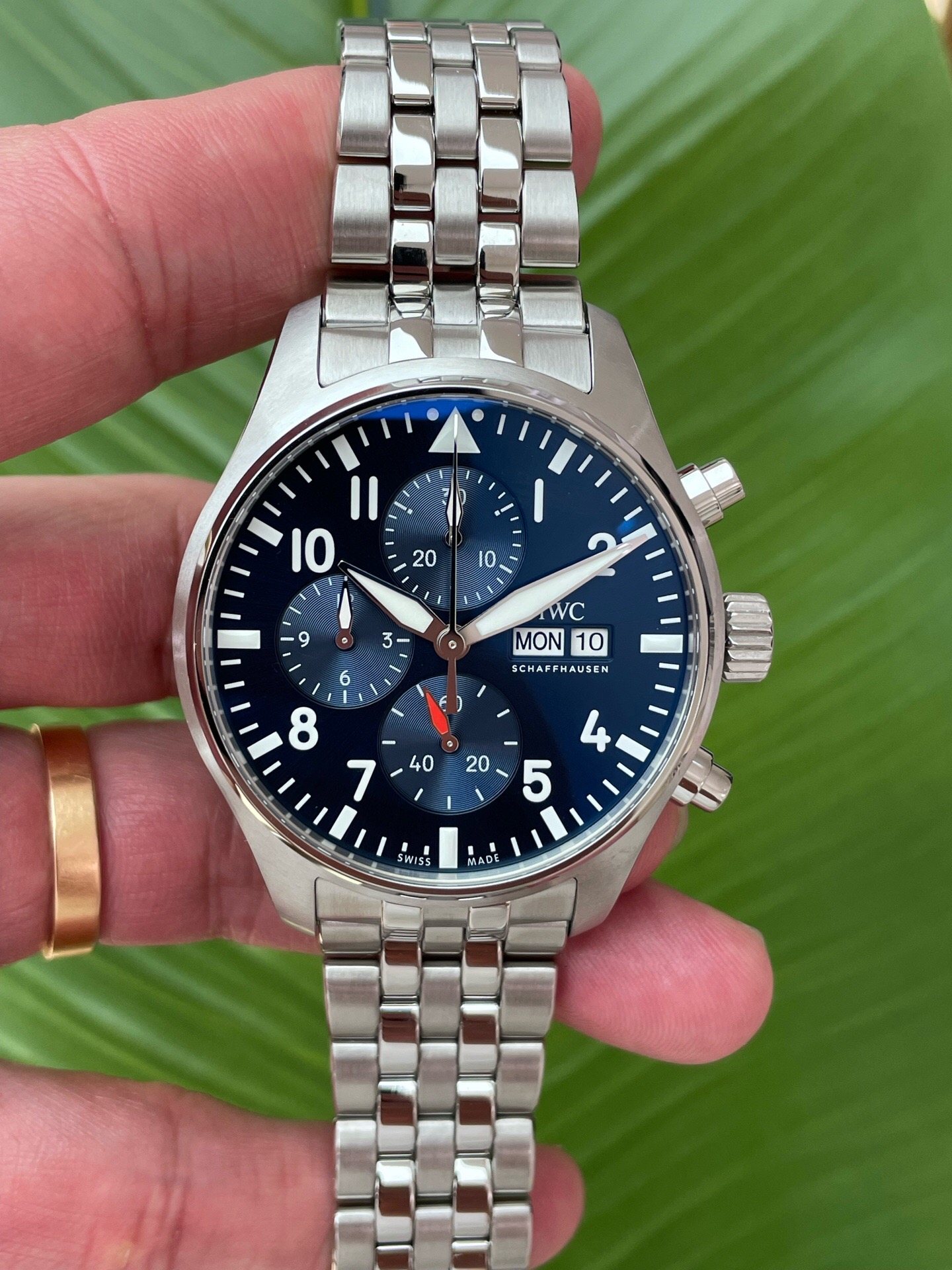 IWC 378004