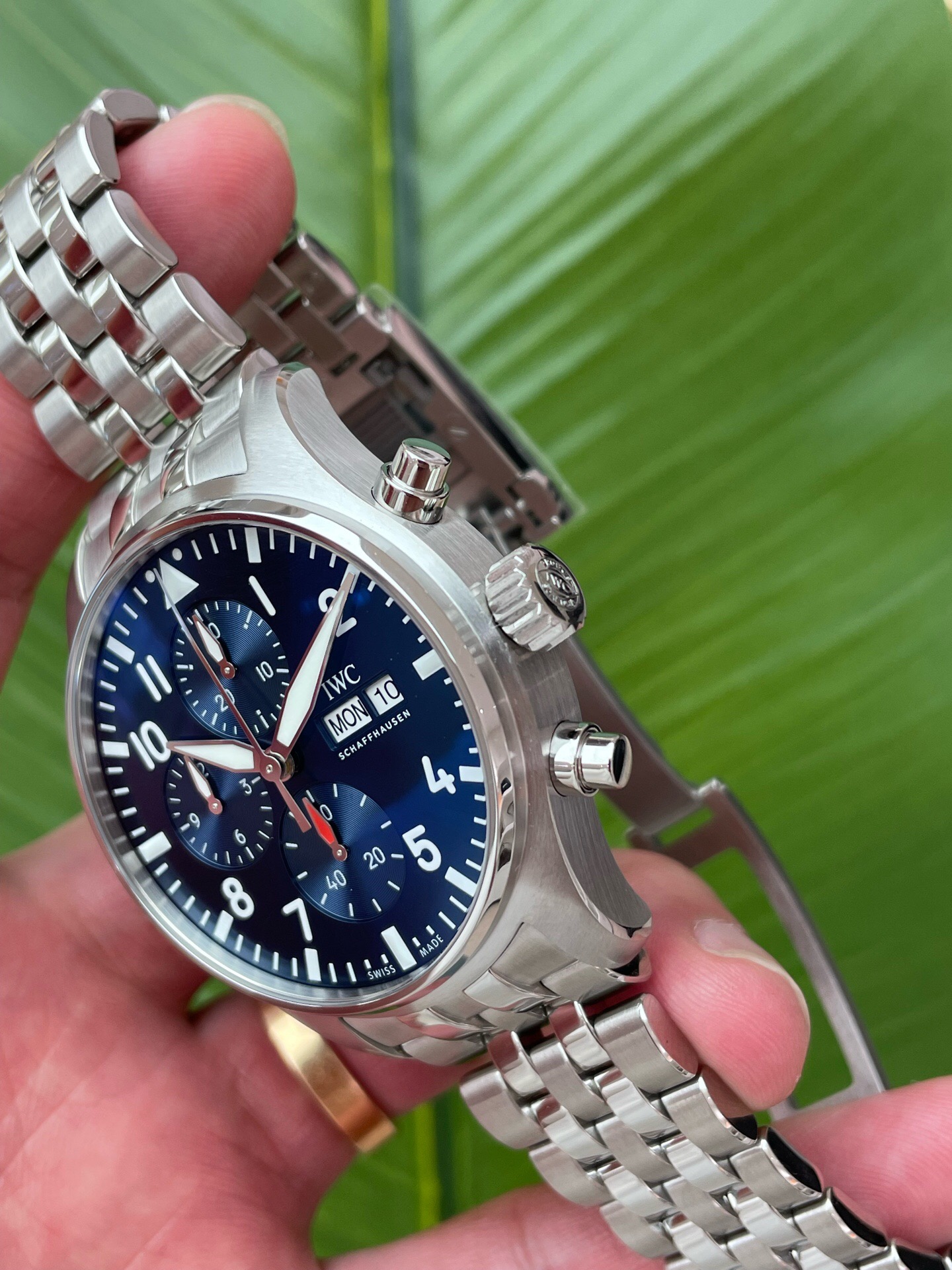 IWC 378004 detail 1