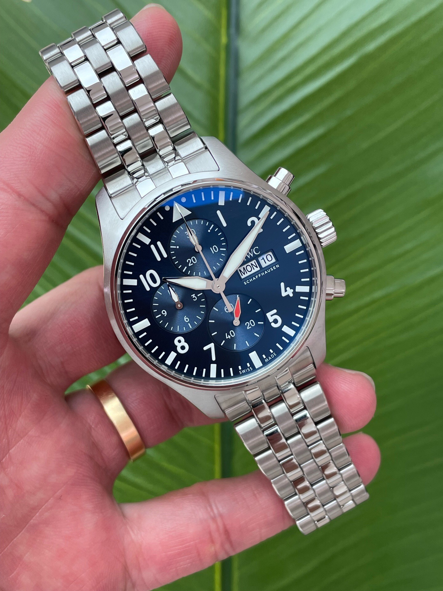 IWC 378004 detail 3