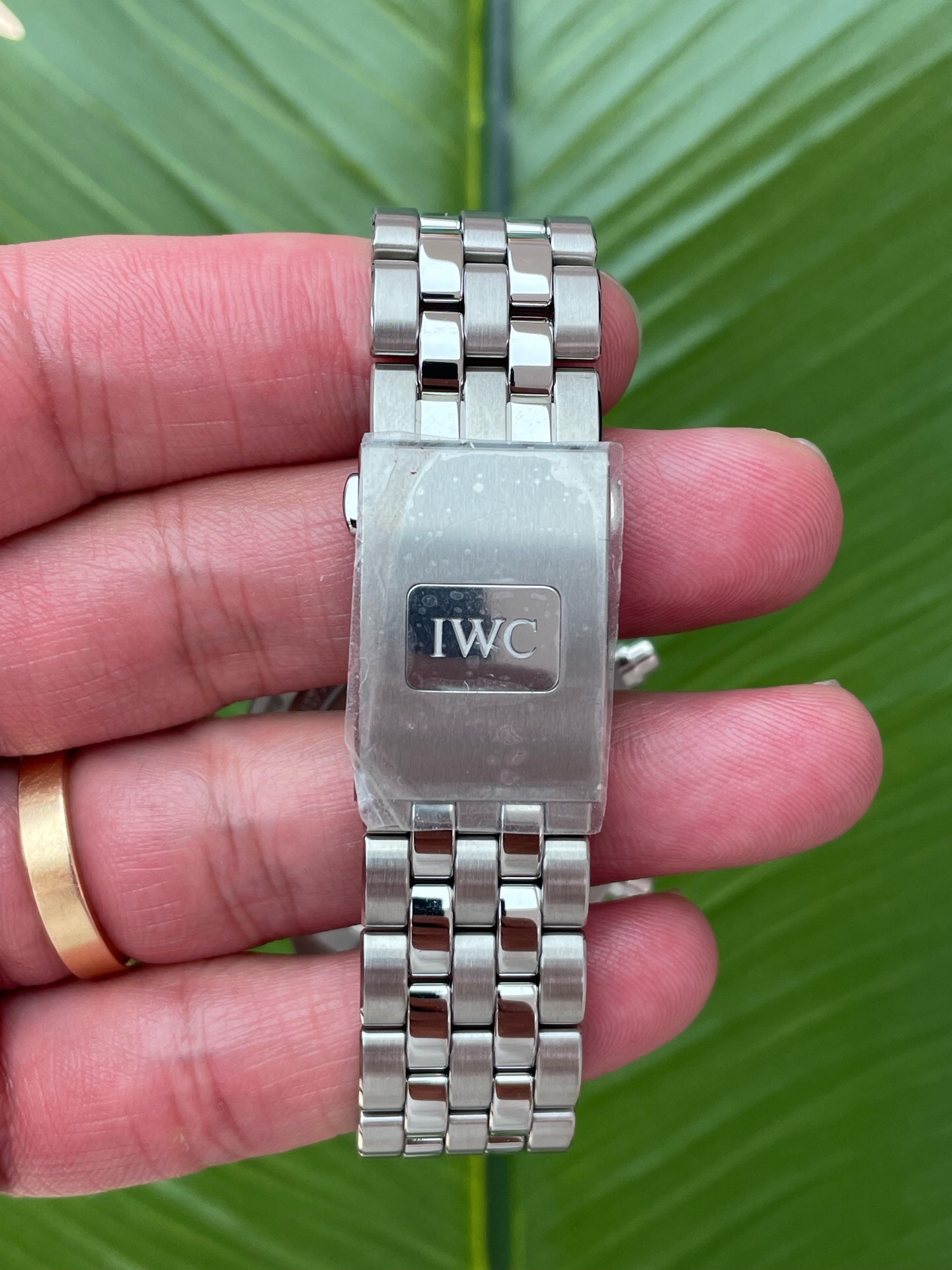 IWC 378004 detail 6