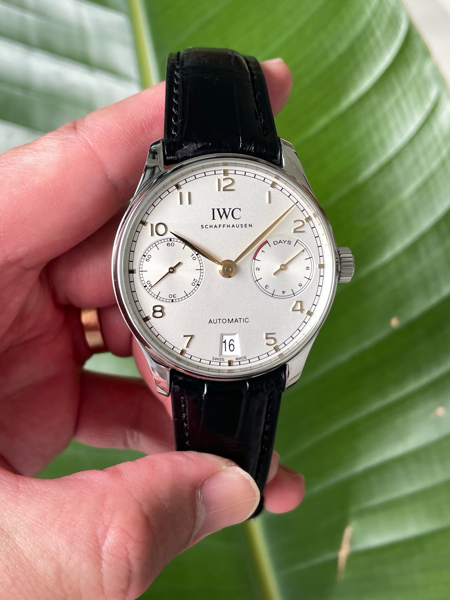 IWC IW500704