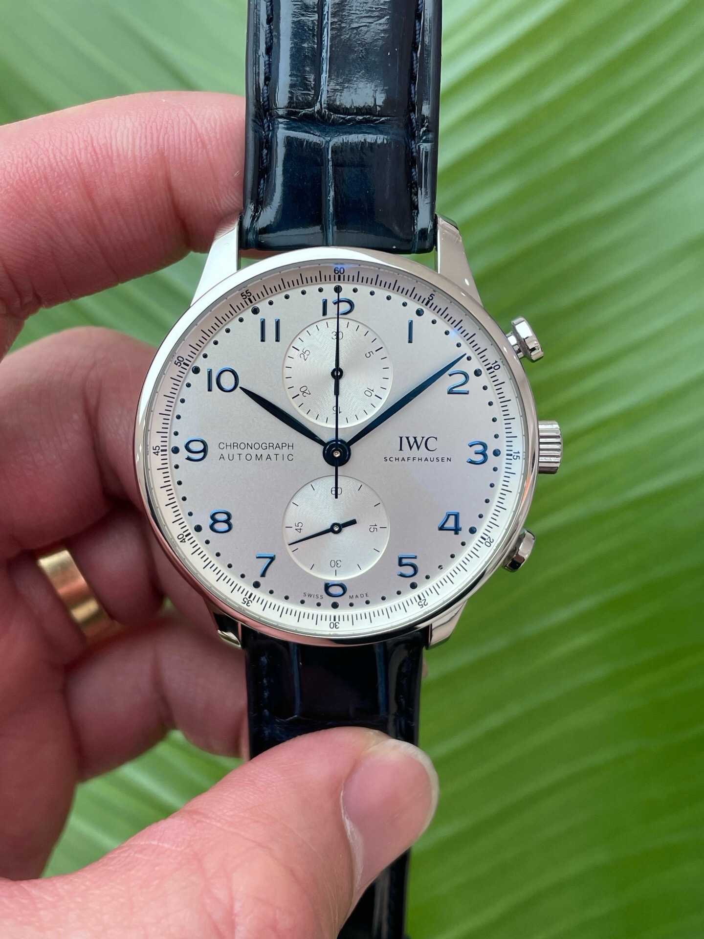 IWC IW371605