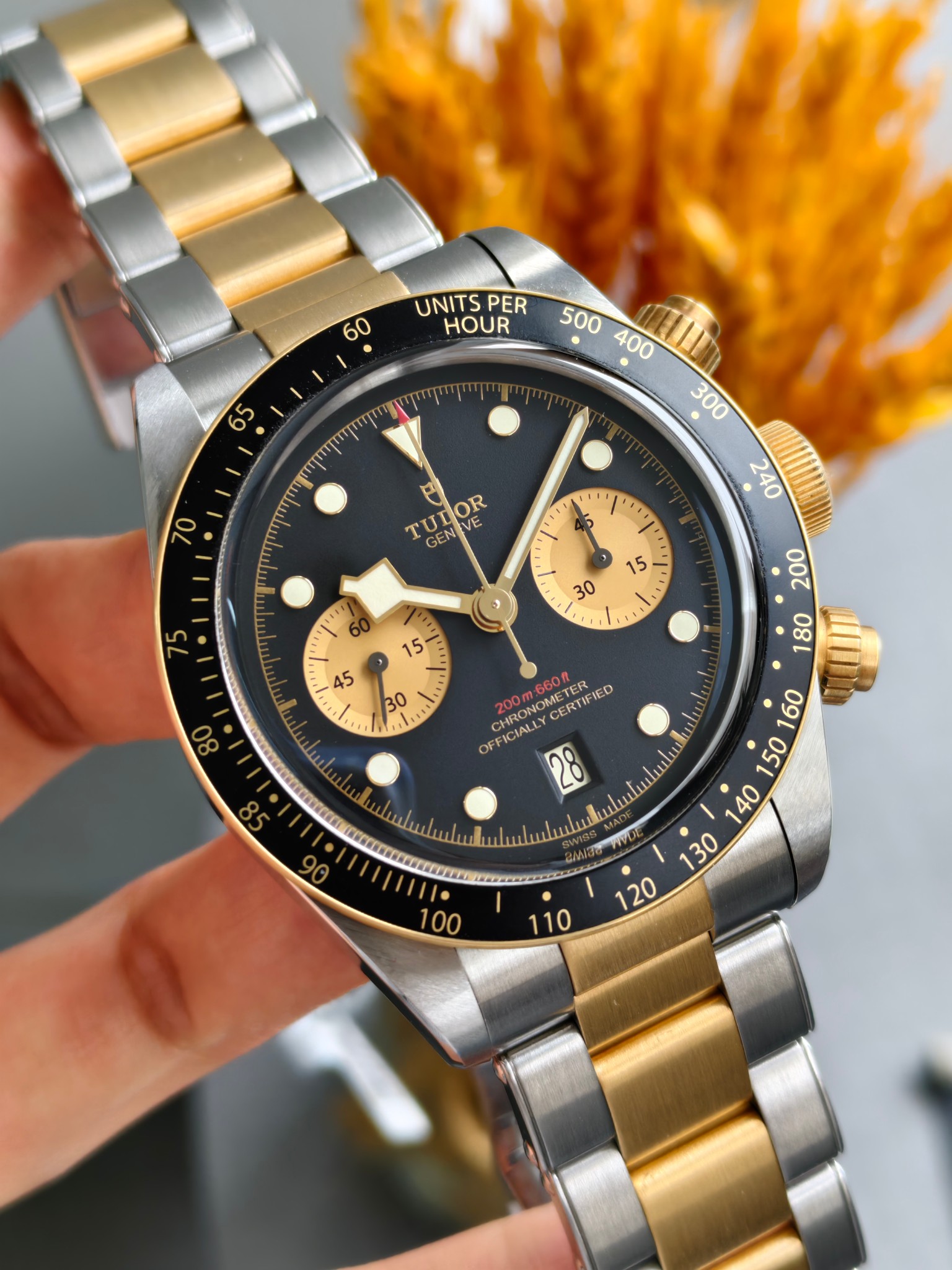 Tudor m79363n-0001