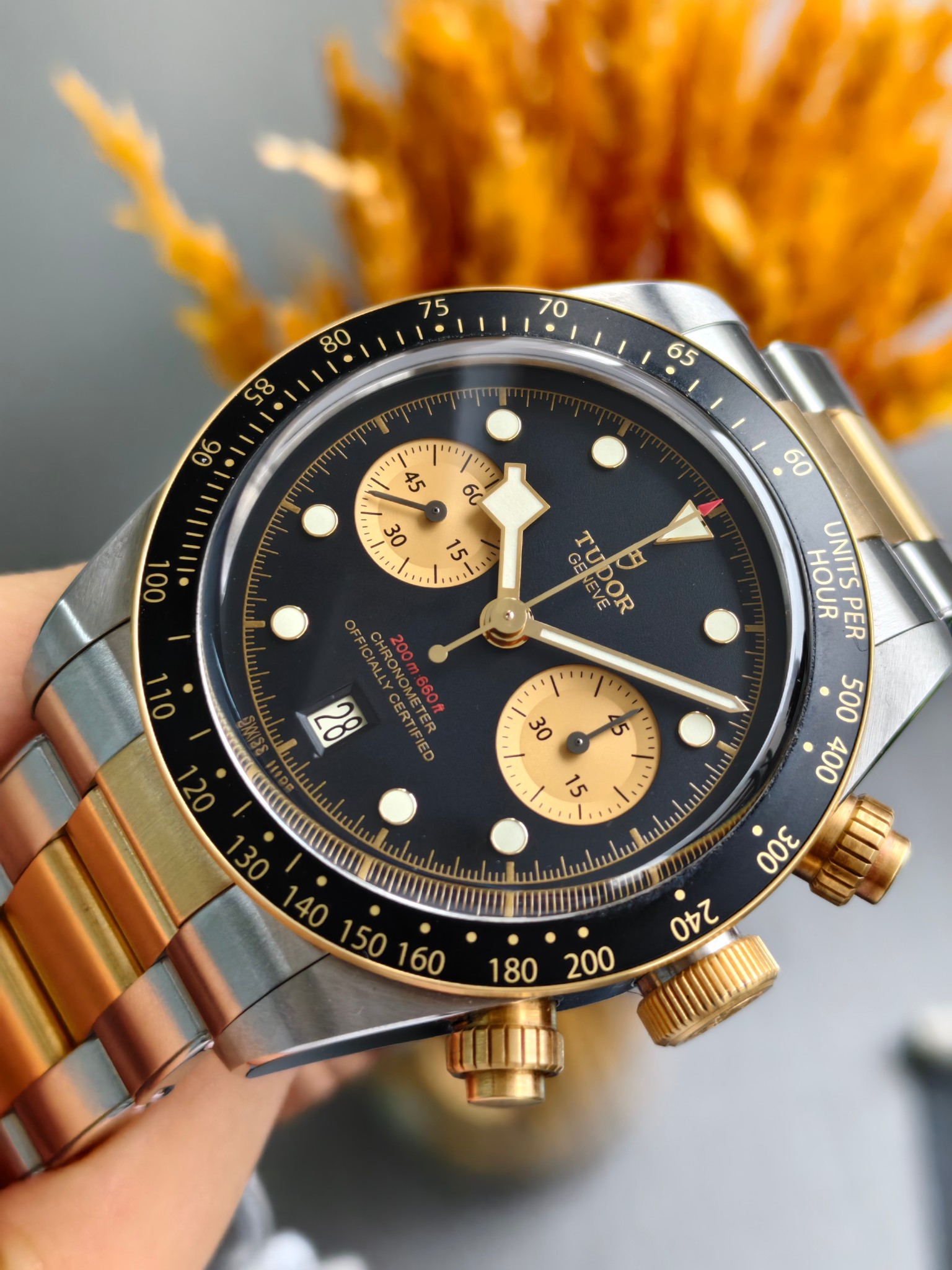 Tudor m79363n-0001 detail 1
