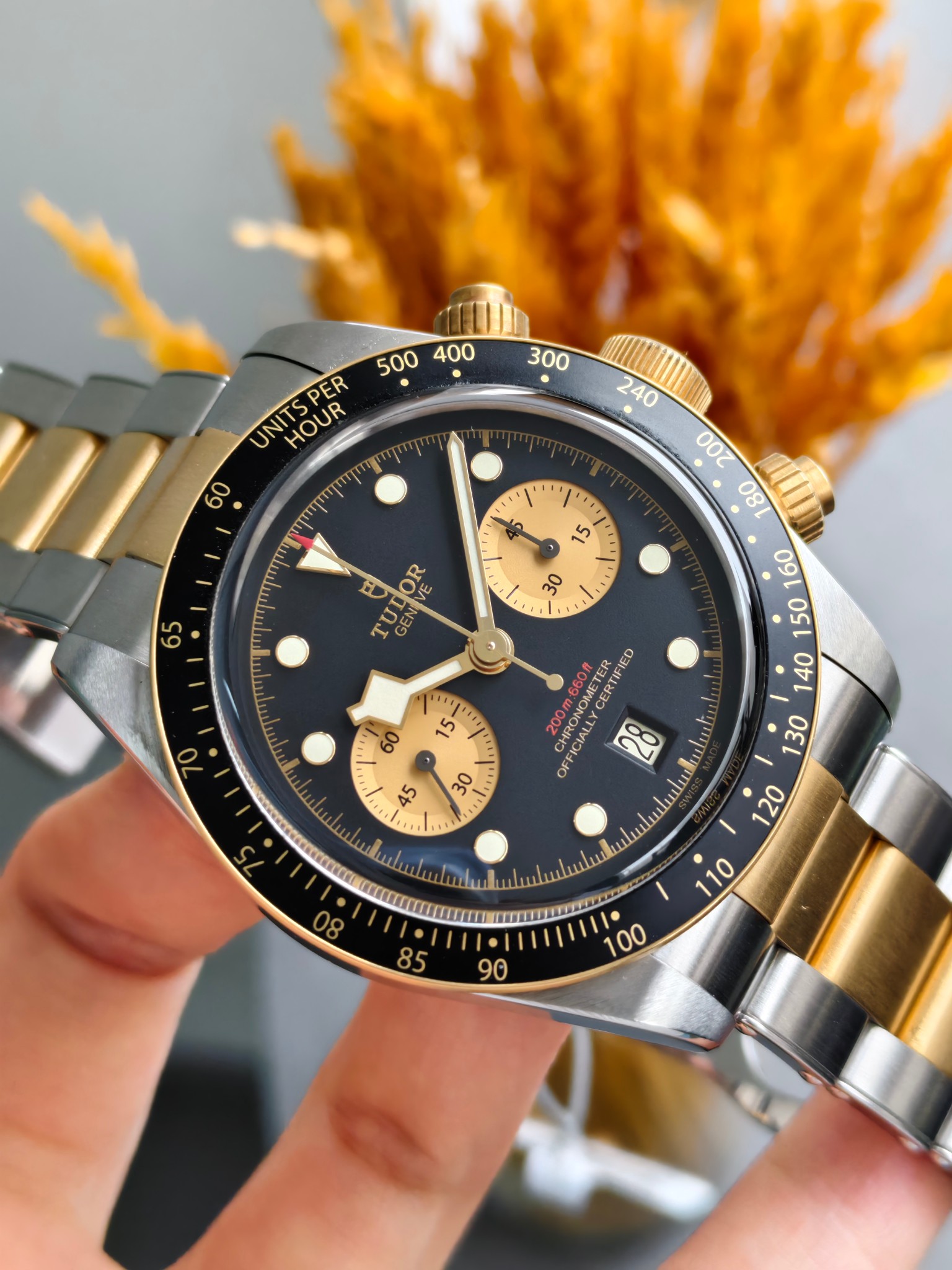 Tudor m79363n-0001 detail 2