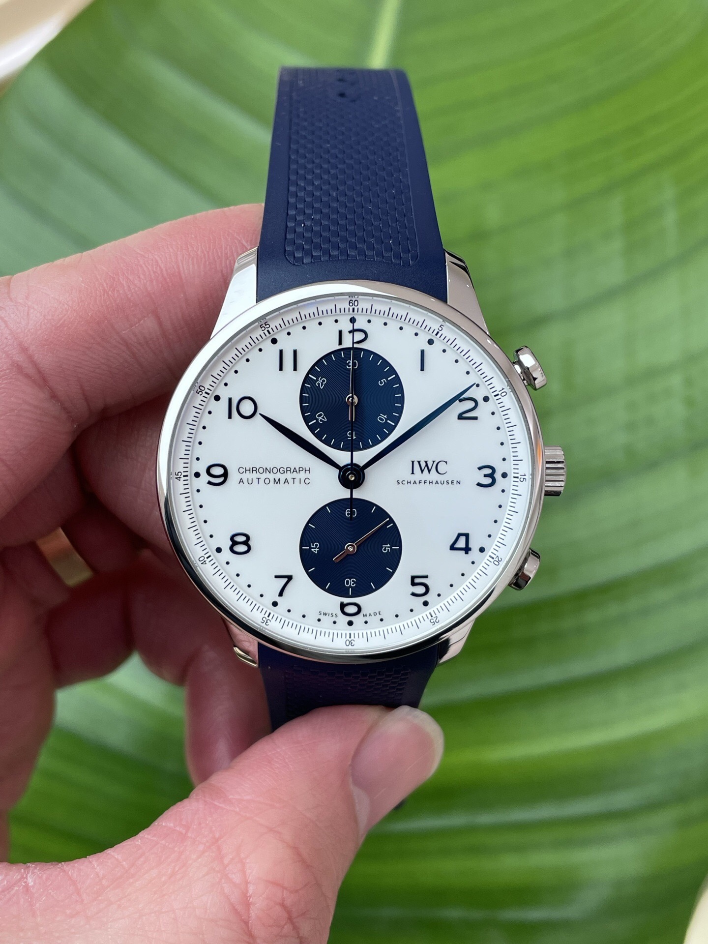 IWC 371620