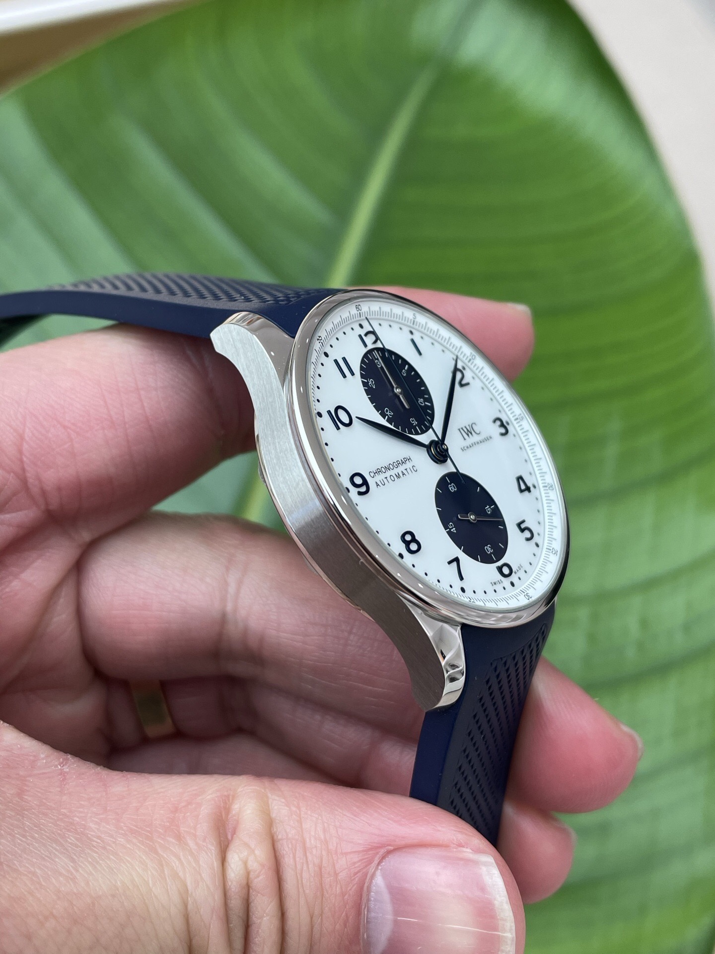 IWC 371620 detail 4
