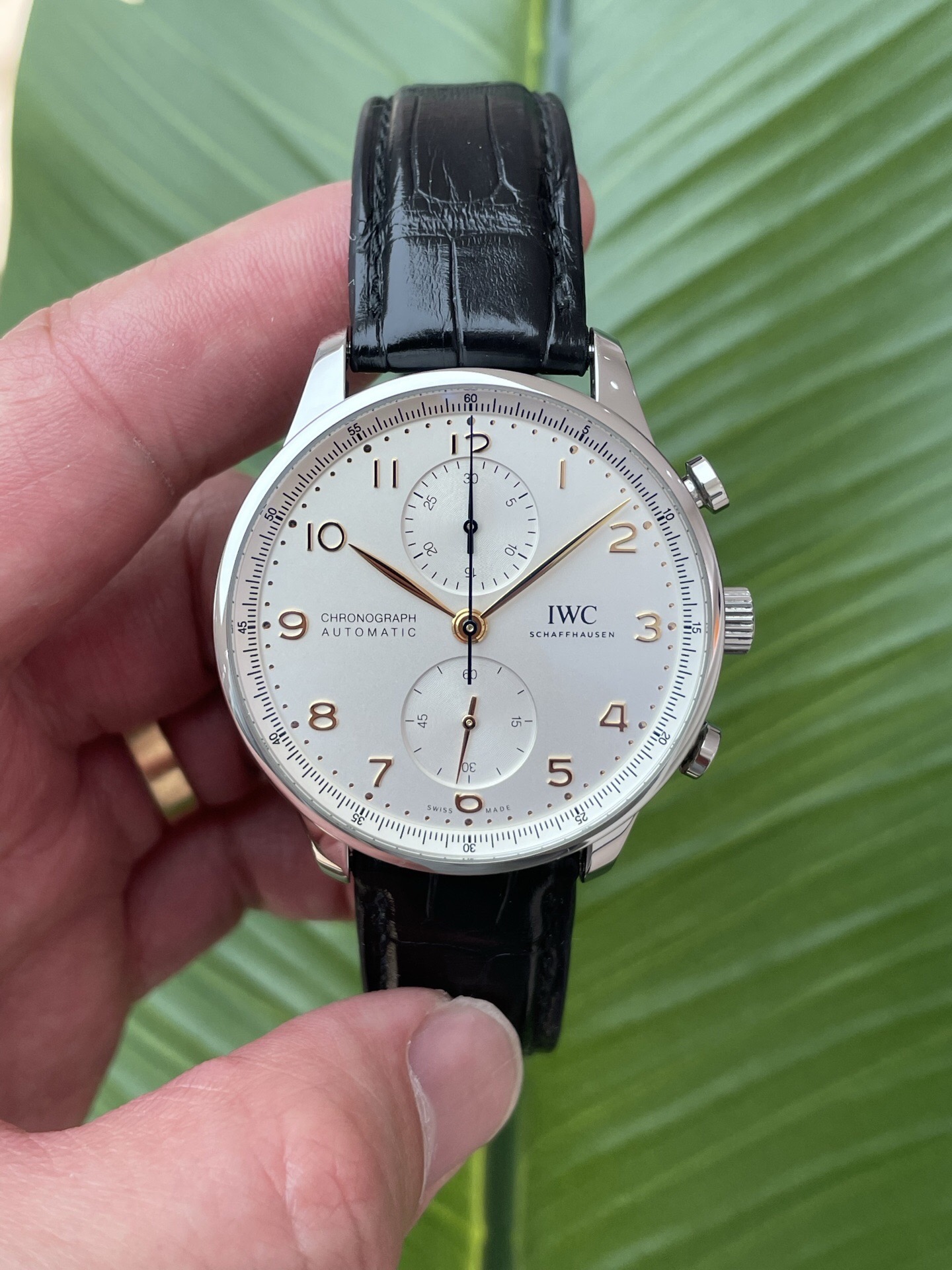IWC IW371604