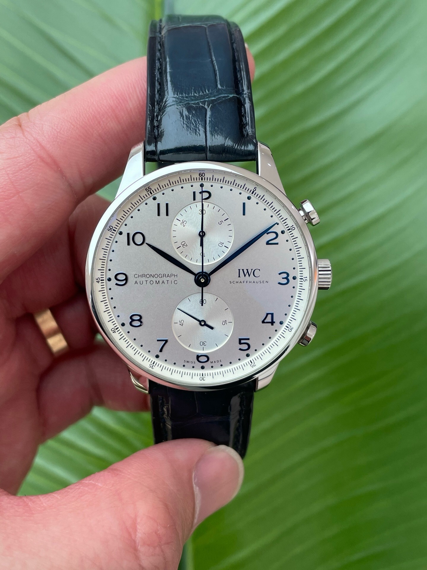 IWC IW371605