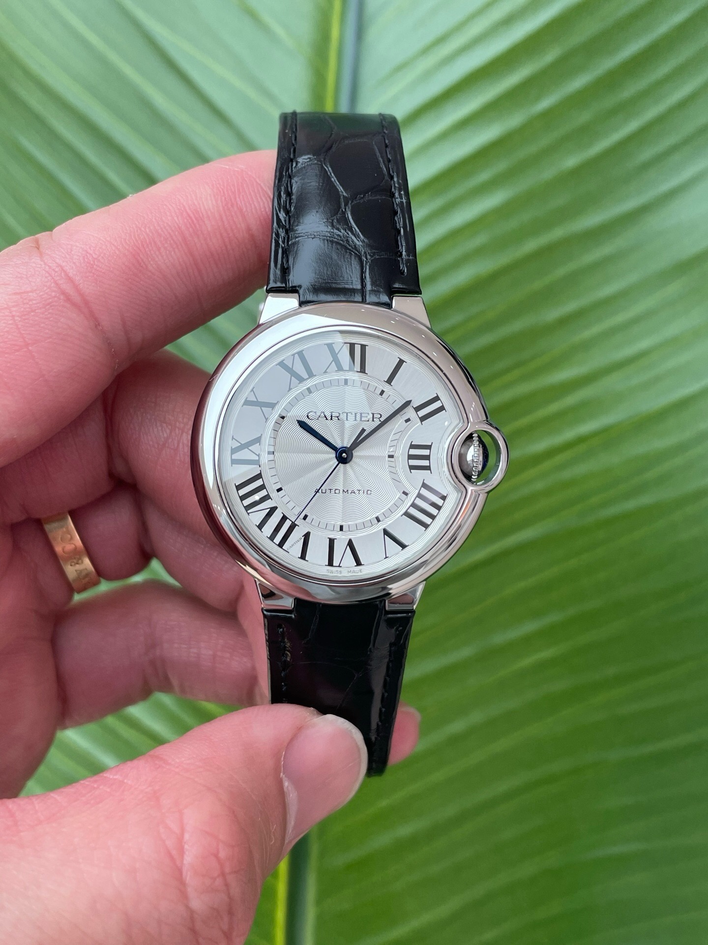 Cartier WSBB0028